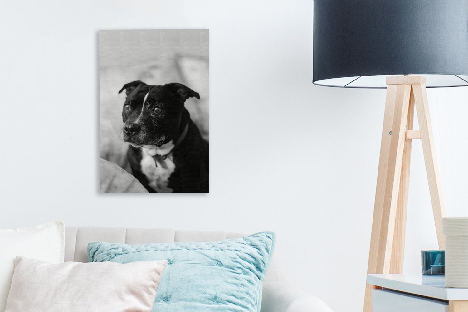 OneMillionCanvasses® Leinwandbild Schwarzer Stuhl (1 Staffordshire Hund Terrier Zackenaufhänger, inkl. Bull -, sitzend St), bespannt auf 20x30 Leinwandbild cm fertig einem Gemälde
