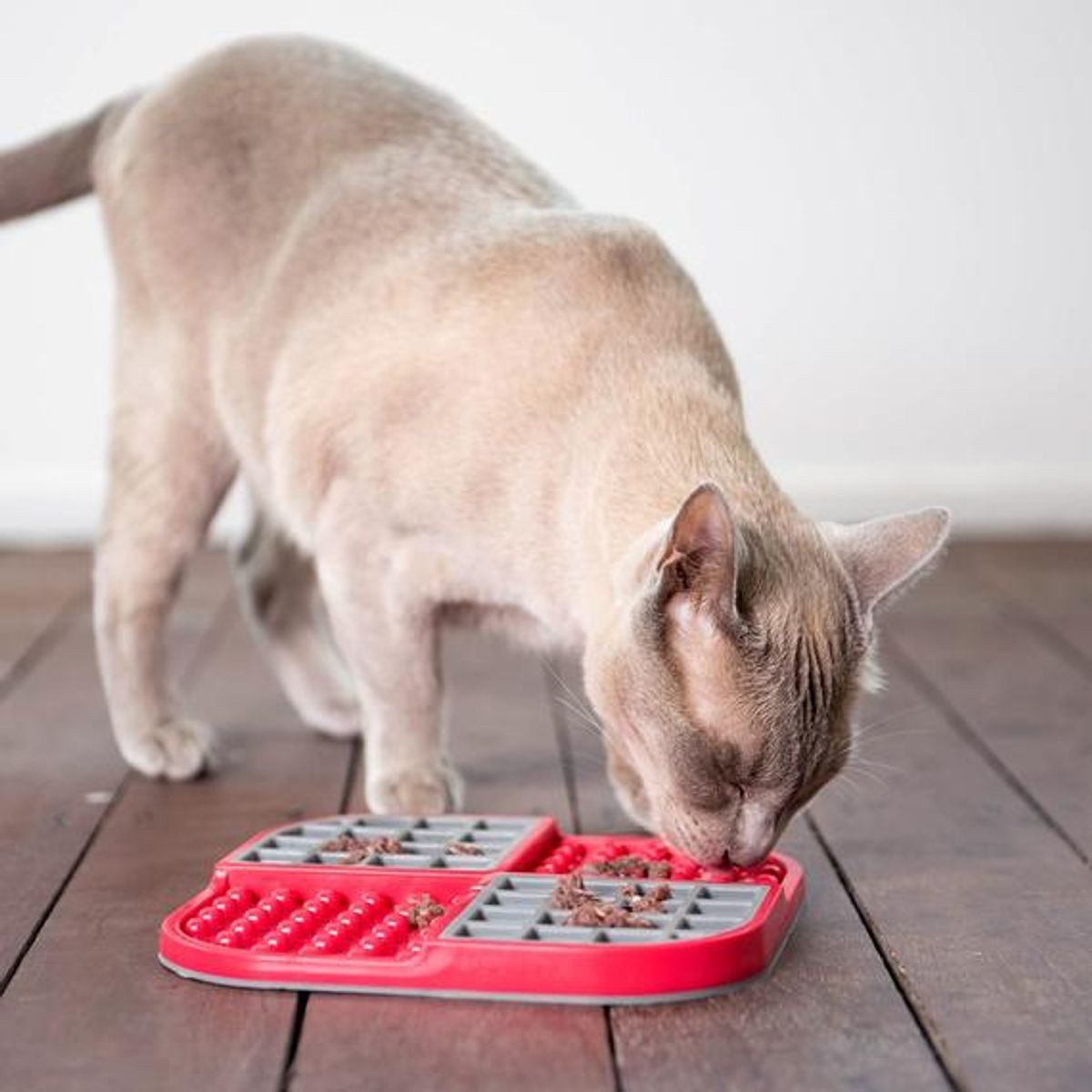 Antischlingnapf Slomo - Leckmatte für Katzen Slowfeeder