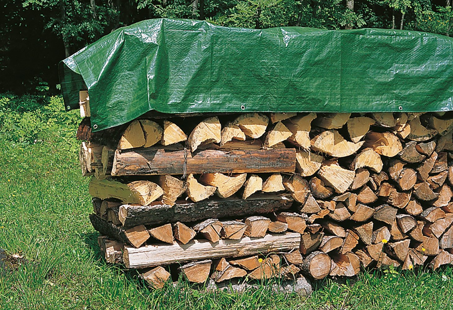 Windhager Schutzplane Medium, Abdeckplane für Draußen (1-St), Holz-, Allzweckplane, Grammatur 100g/m², 3 x 5 m