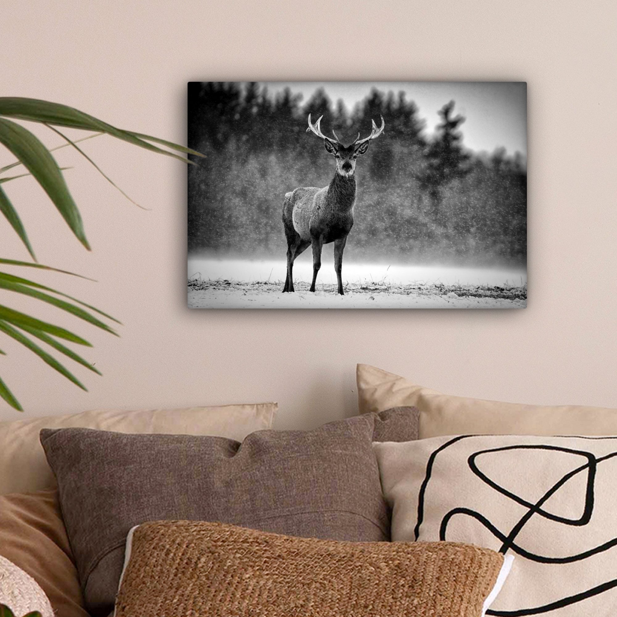OneMillionCanvasses® Leinwandbild Tiere - Hirsche - günstig online kaufen