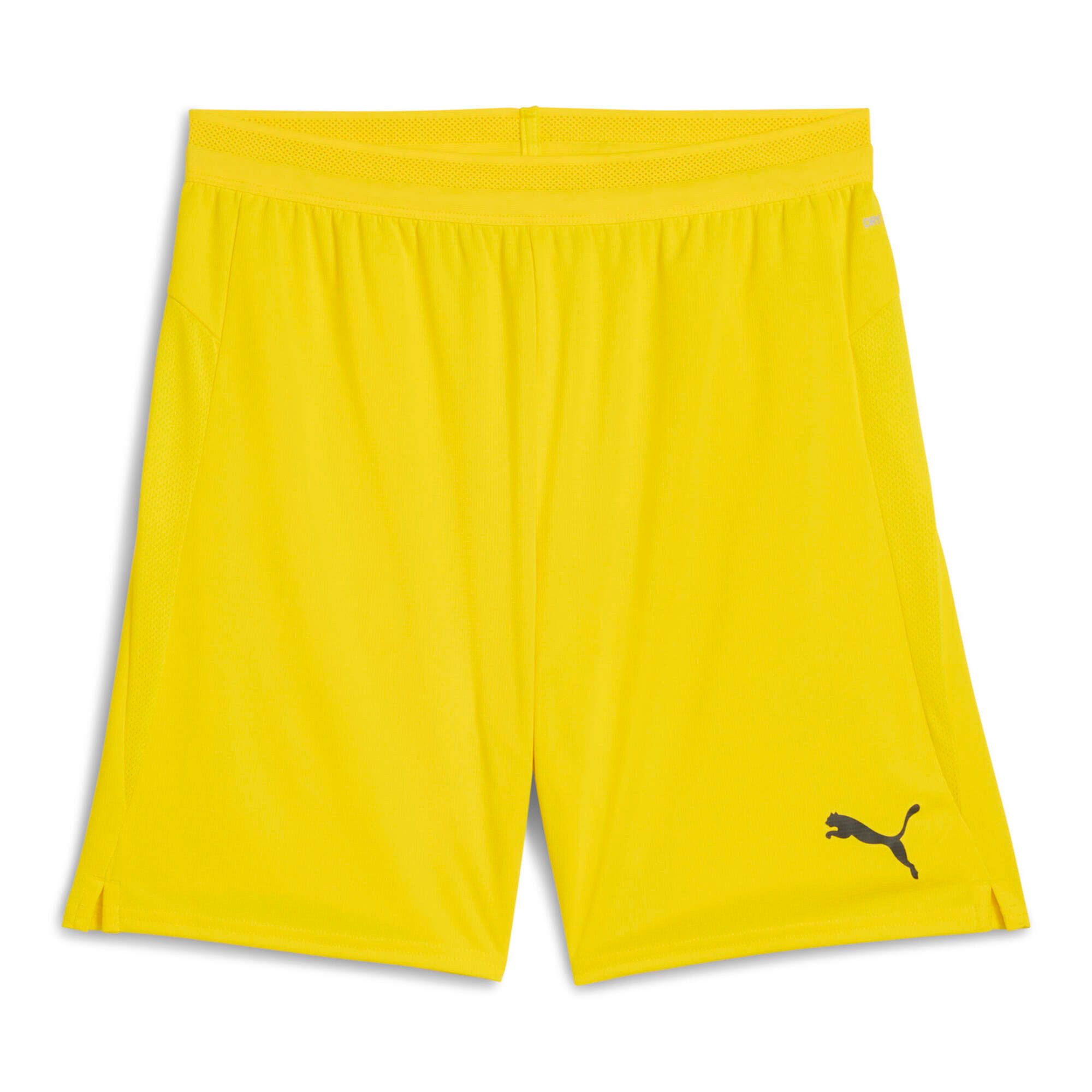 Trainingsshorts Puma Herren Short teamCUP Shorts 706275