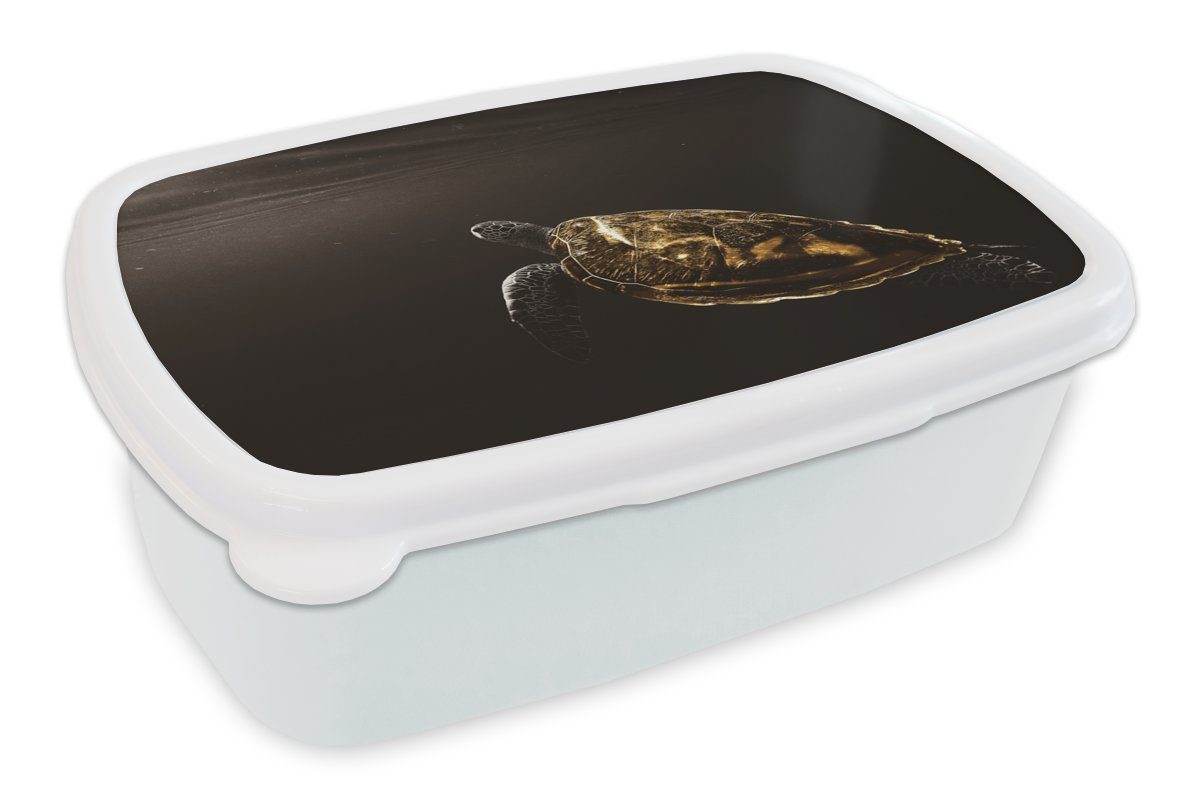 MuchoWow Lunchbox Schildkröte - Schwarz - Gold, Kunststoff, (2-tlg), Brotbox für Kinder und Erwachsene, Brotdose, für Jungs und Mädchen weiß