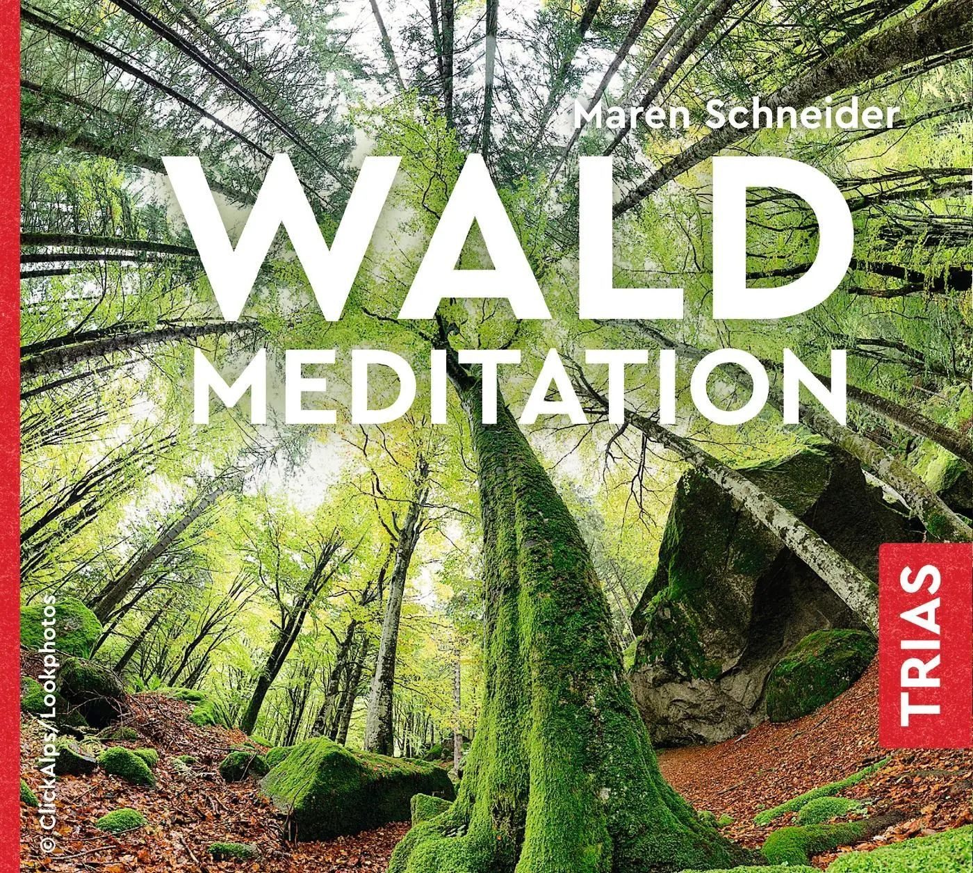 Trias Hörspiel Waldmeditation