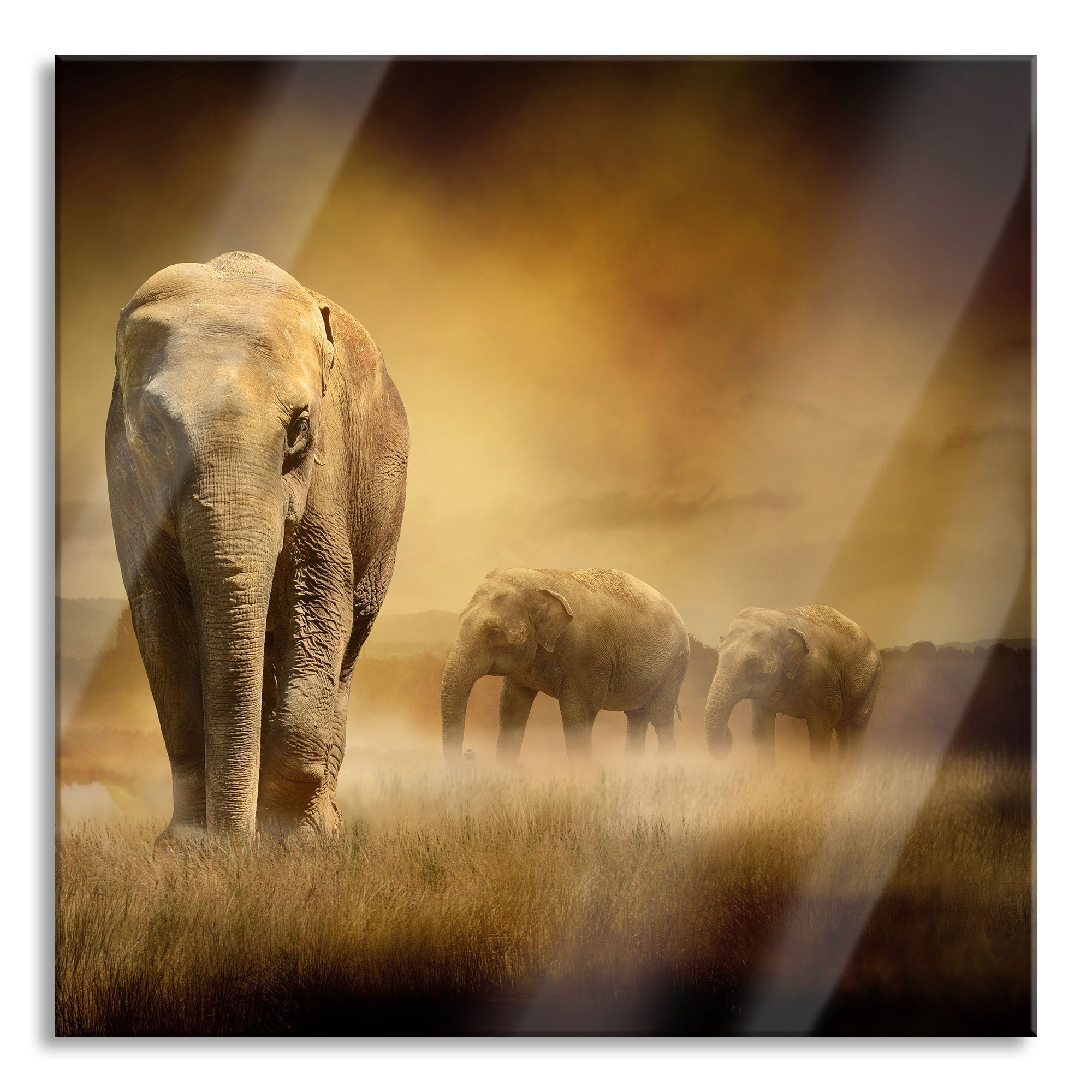 Aufhängungen (1 in Prächtiger Glasbild inkl. Echtglas, Prächtiger Elefanten St), in Pixxprint Steppe Abstandshalter Steppe, Elefanten und aus Glasbild