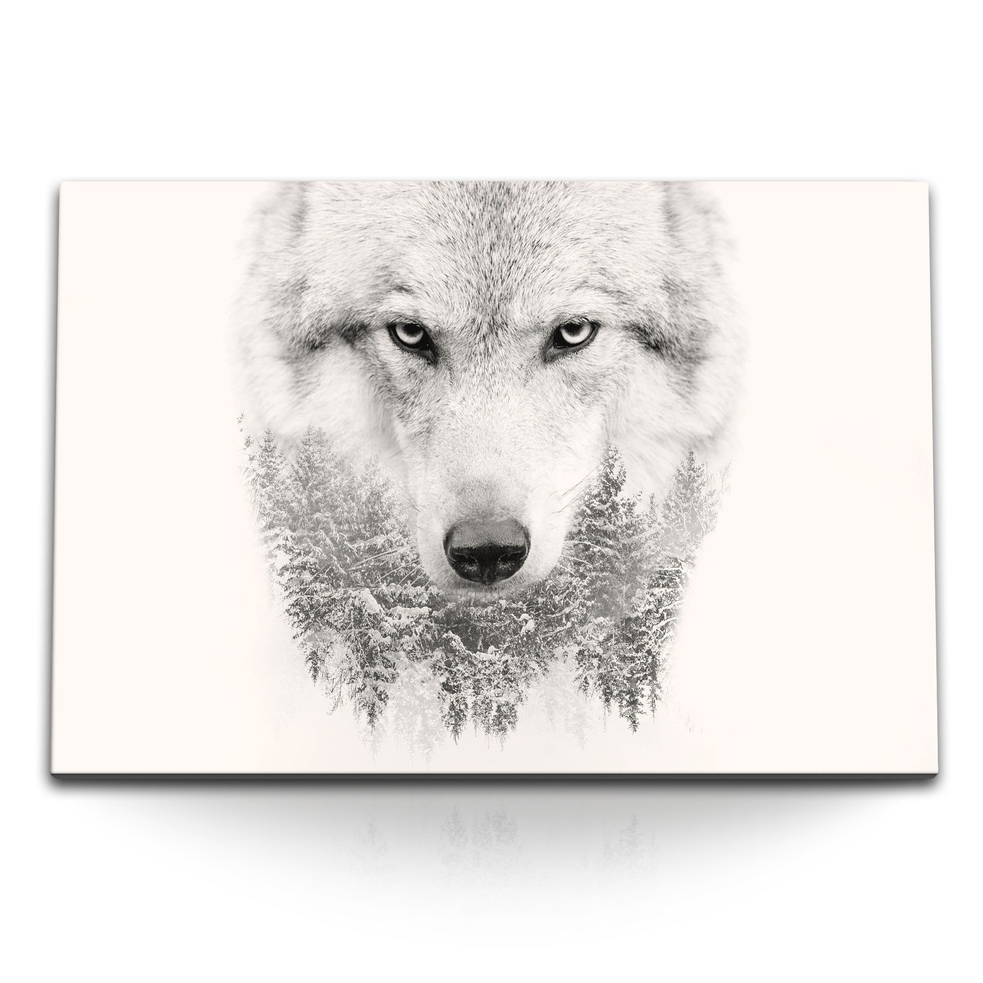 Sinus Art Leinwandbild 120x80cm Wandbild auf Leinwand Wolf Porträt Raubtier Kunstvoll Tannenw, (1 St)
