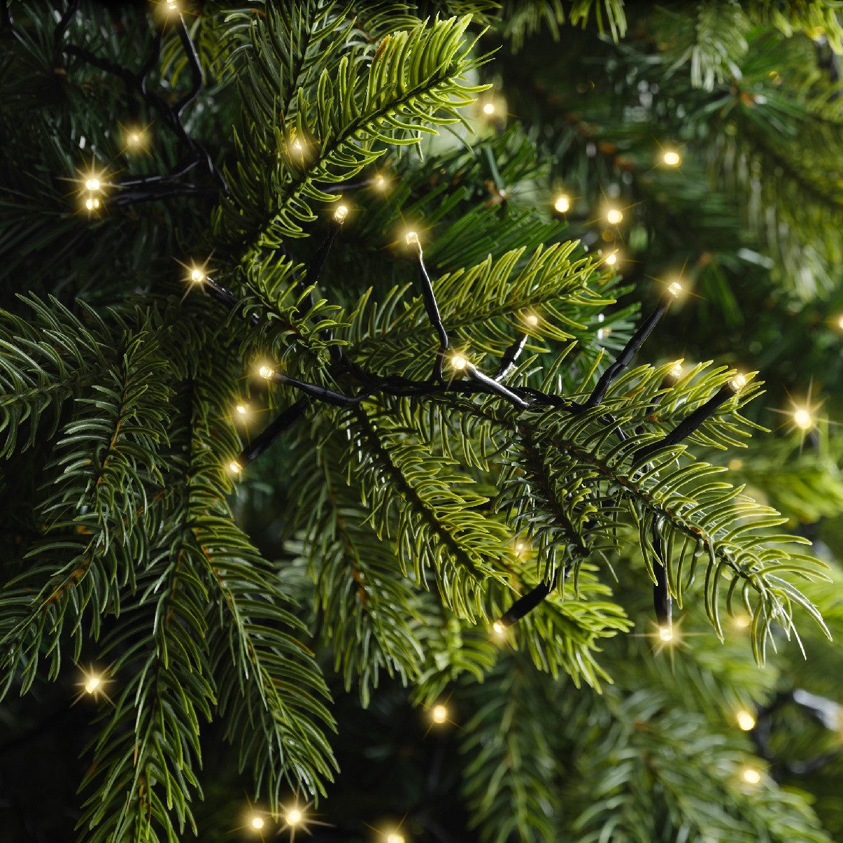Lumineo LED-Lichterkette Lumineo Lichterkette EXCELLENT TWINKLE 2208 LED 35 m Soft Gold schwarz, Indoor/Outdoor, 8 Effekte, 8h-Timer, + 5 Meter Zuleitung – Bild 4 von 5