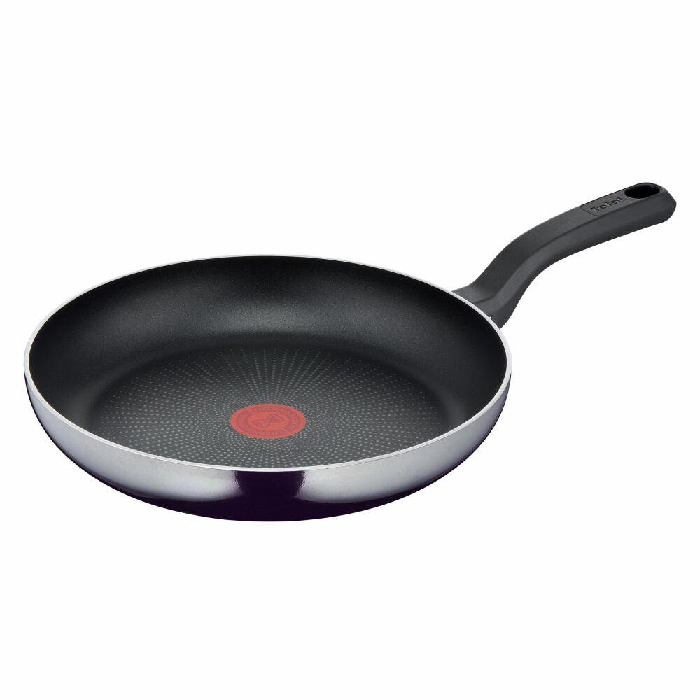 Tefal Bratpfanne Resist Aluminium Ø 28 cm, Aluminium