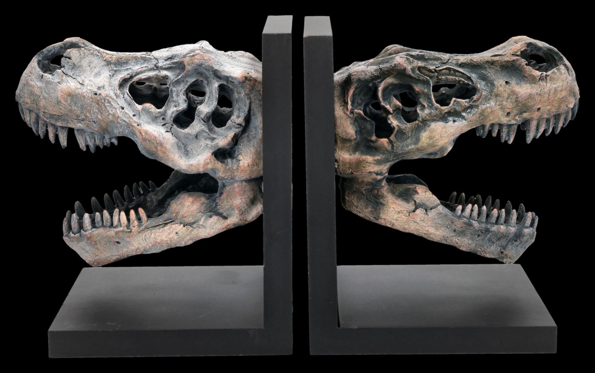 Figuren Shop GmbH Buchstütze Dinosaurier Buchstützen T-Rex Schädel Figuren 17 cm 2er Set Dekoration (2 St)