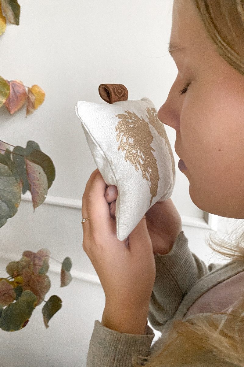 Dorothee Lehnen Duftkissen Duftkissen - FLÜGEL - leinen/gold