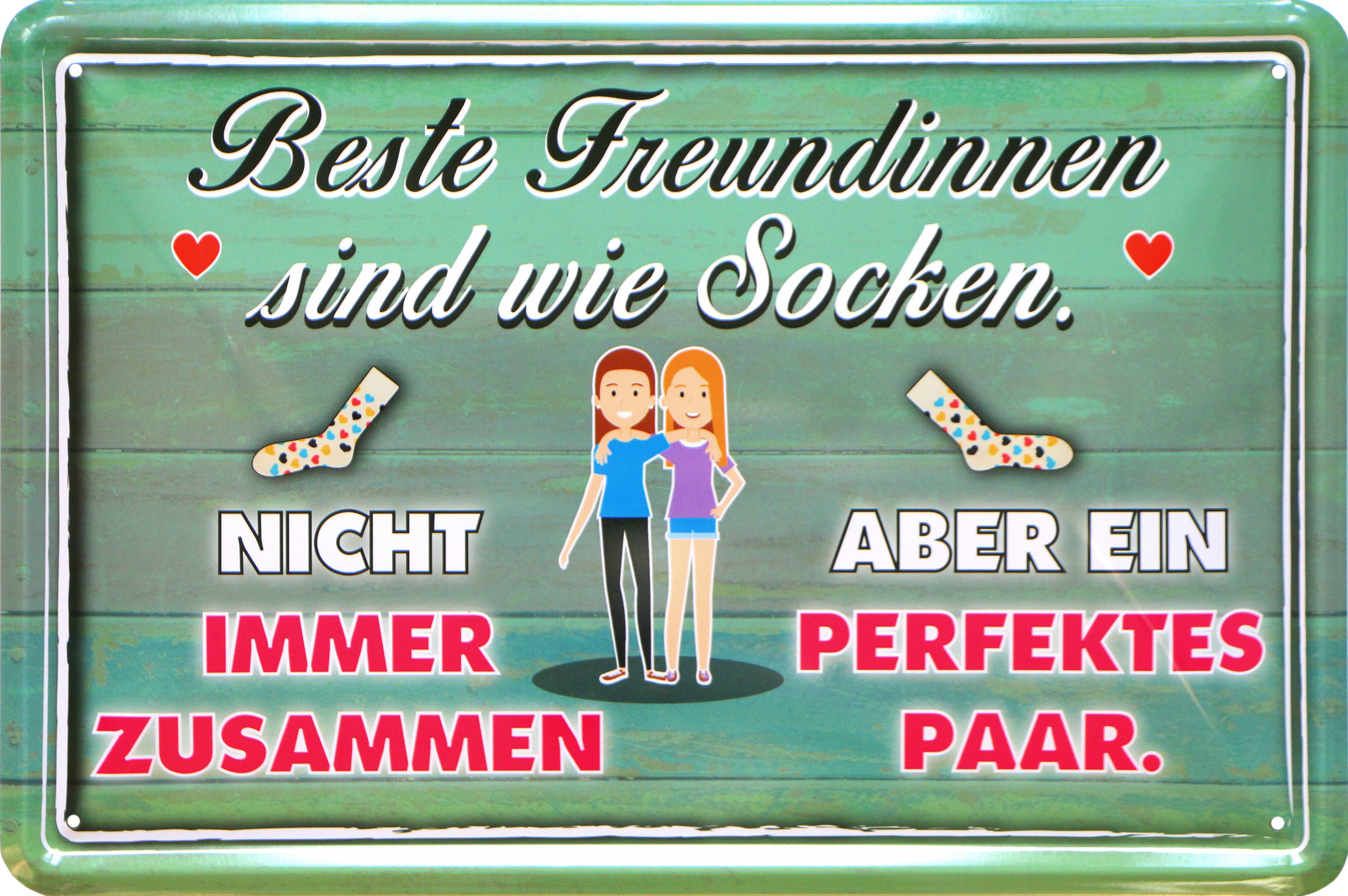 WOGEKA ART Metallbild beste Freundinnen sind wie Socken 20 x 30 cm