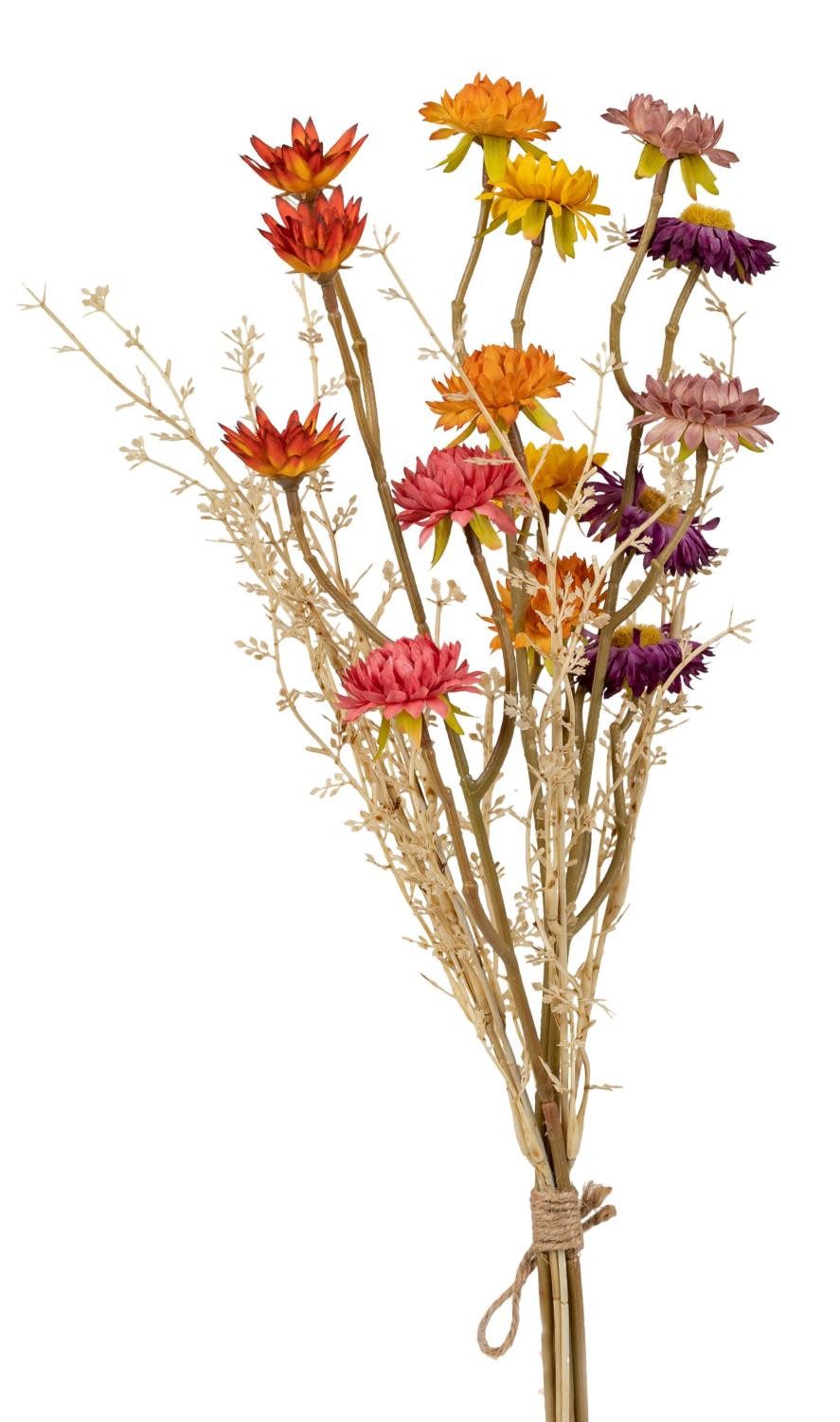 Trockenblume Orange, Durchmesser 14 cm, formano, günstig online kaufen