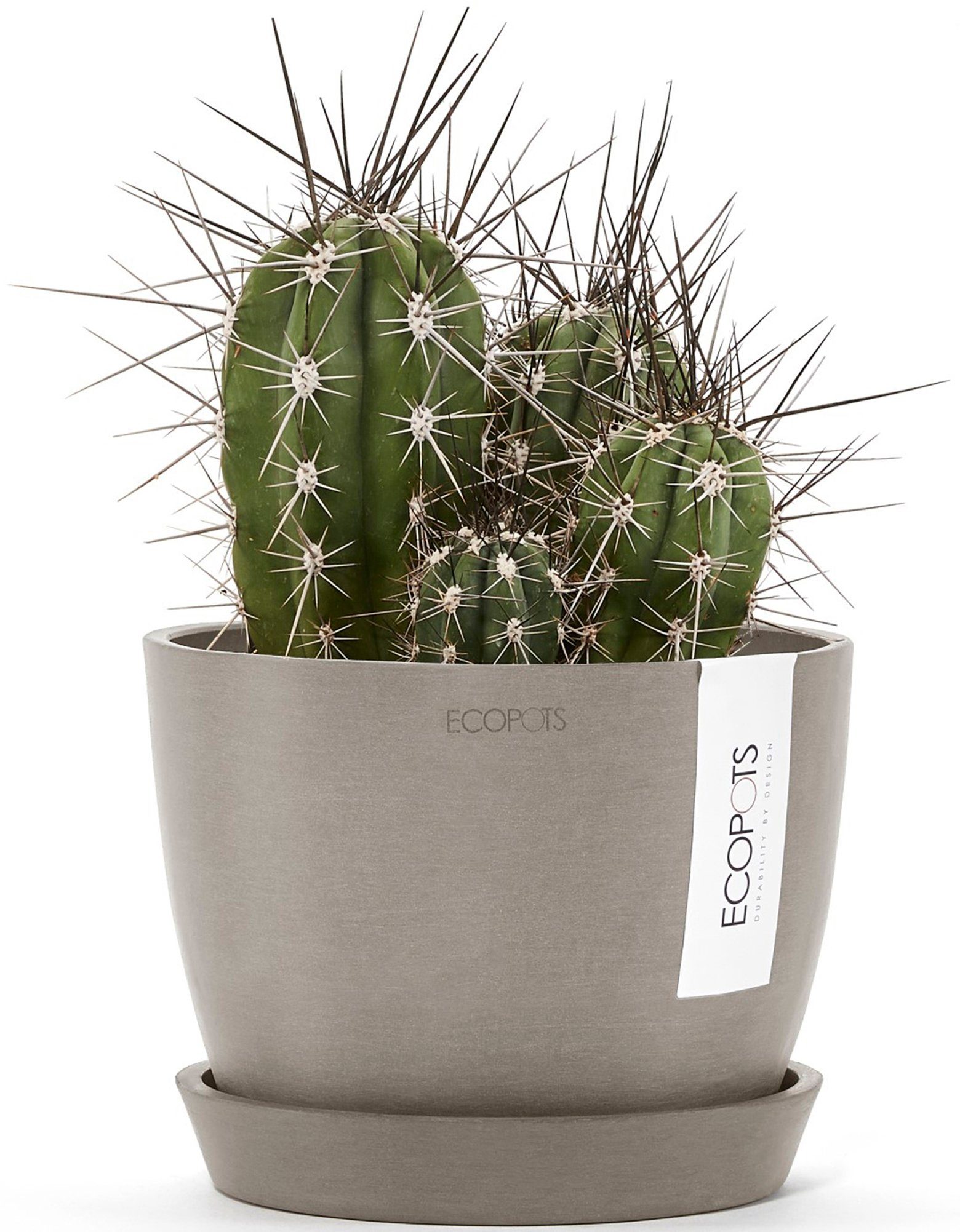 ECOPOTS Blumentopf Stockholm Mini 16 Taupe, günstig online kaufen