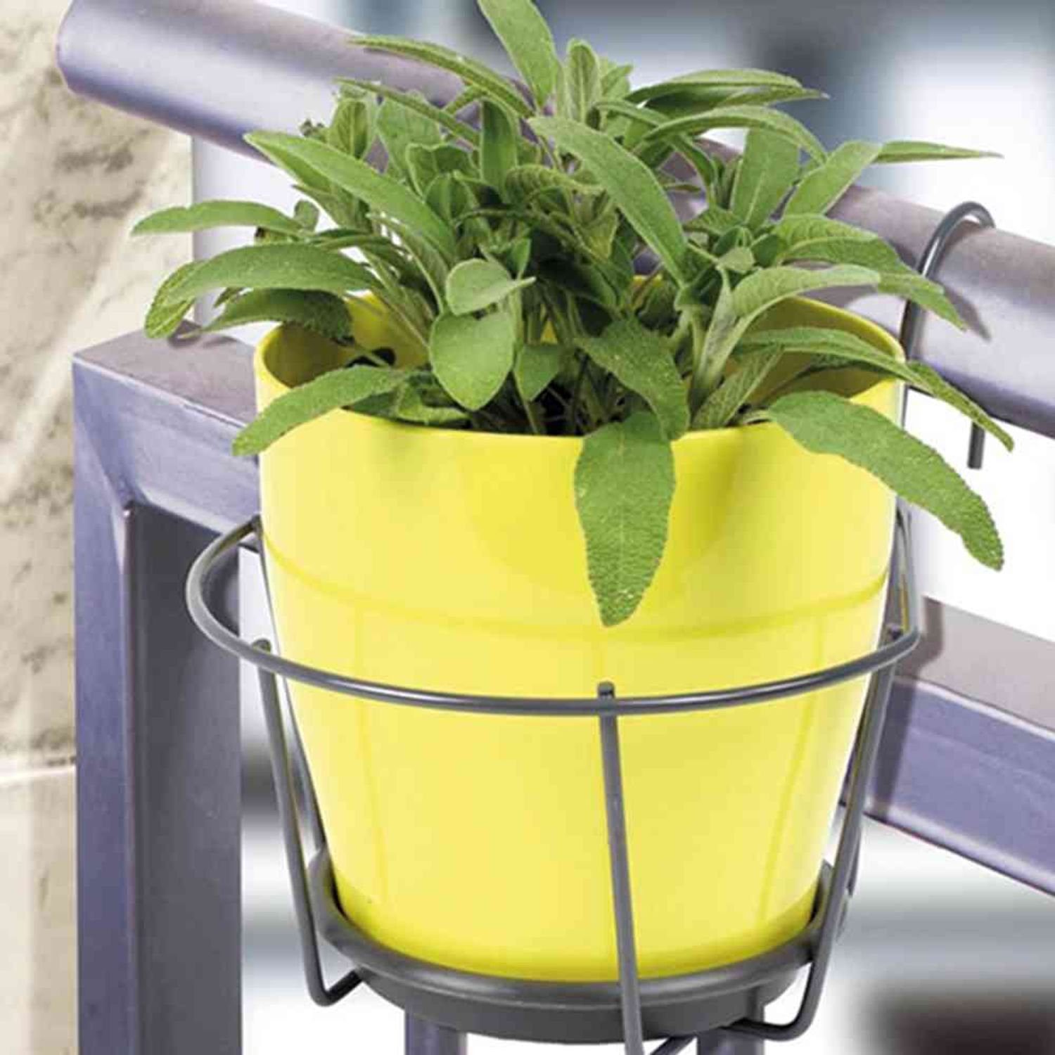 Jardifer Blumenkastenhalter Blumentopfhalter zum Einhängen grau, günstig online kaufen