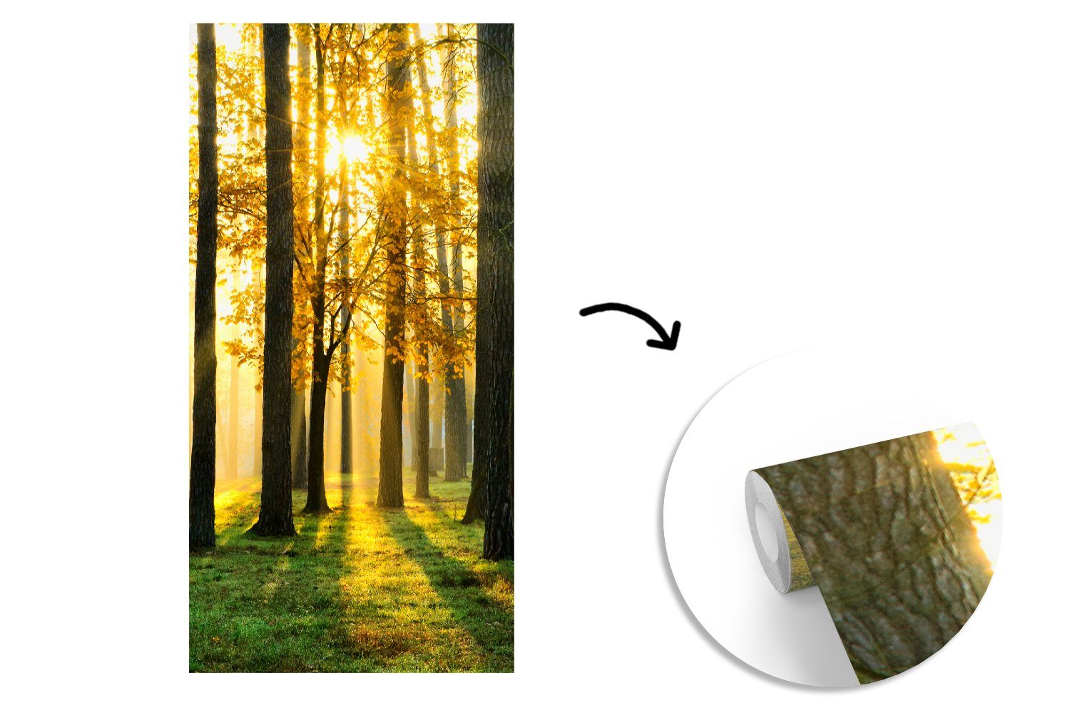 MuchoWow Fototapete Wald - Bäume - - - Gras Matt, Schlafzimmer bedruckt, St), (2 Landschaft Fototapete Sonne Küche, Wohnzimmer Vliestapete - Natur, für