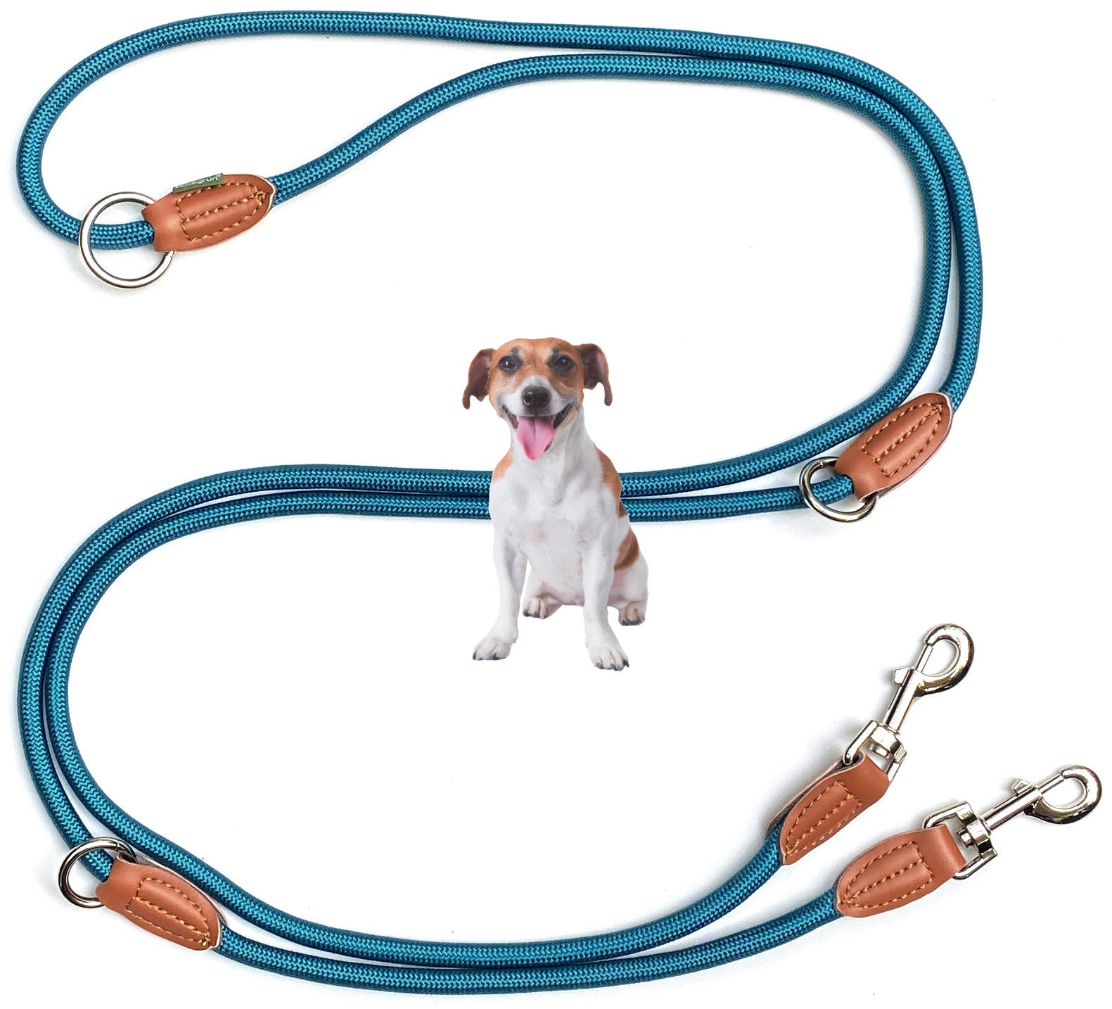 Leisegrün Hundeleine für kleine Hunde, 3m, 3-fach verstellbar, Nylon, Doppelleine für 2 Hunde, Führleine, Freihandleine, Trainingsleine