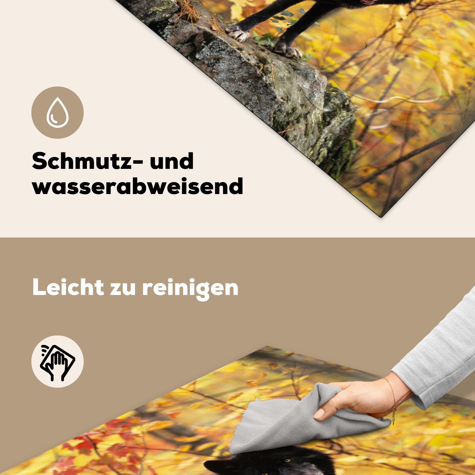 MuchoWow Herdblende-/Abdeckplatte Wolf Fels - (1 Ceranfeldabdeckung, Baum, Arbeitsplatte für Vinyl, 78x78 cm, - küche tlg)