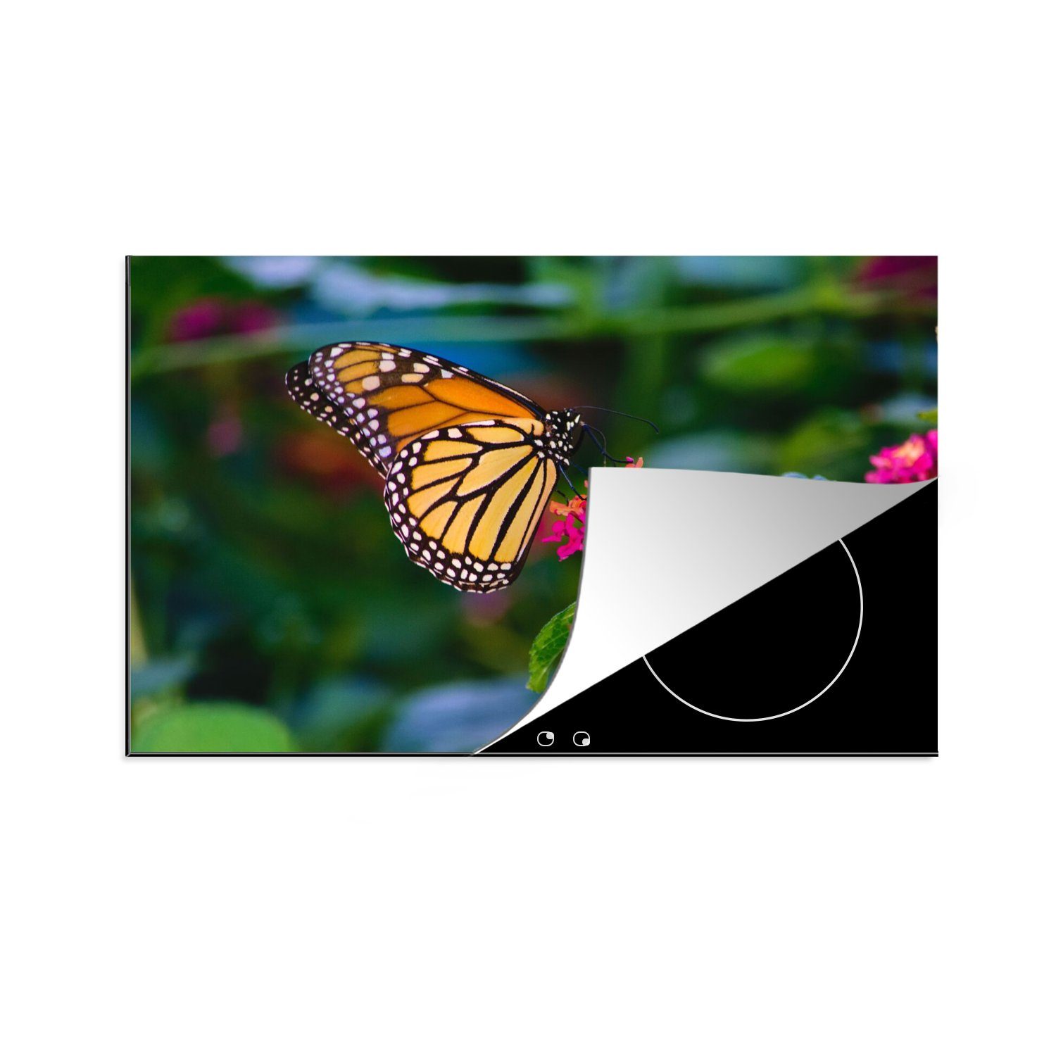 MuchoWow Herdblende-/Abdeckplatte Schmetterlinge - Blume - Natur, Vinyl, (1 tlg), 80x52 cm, Induktionskochfeld Schutz für die küche, Ceranfeldabdeckung