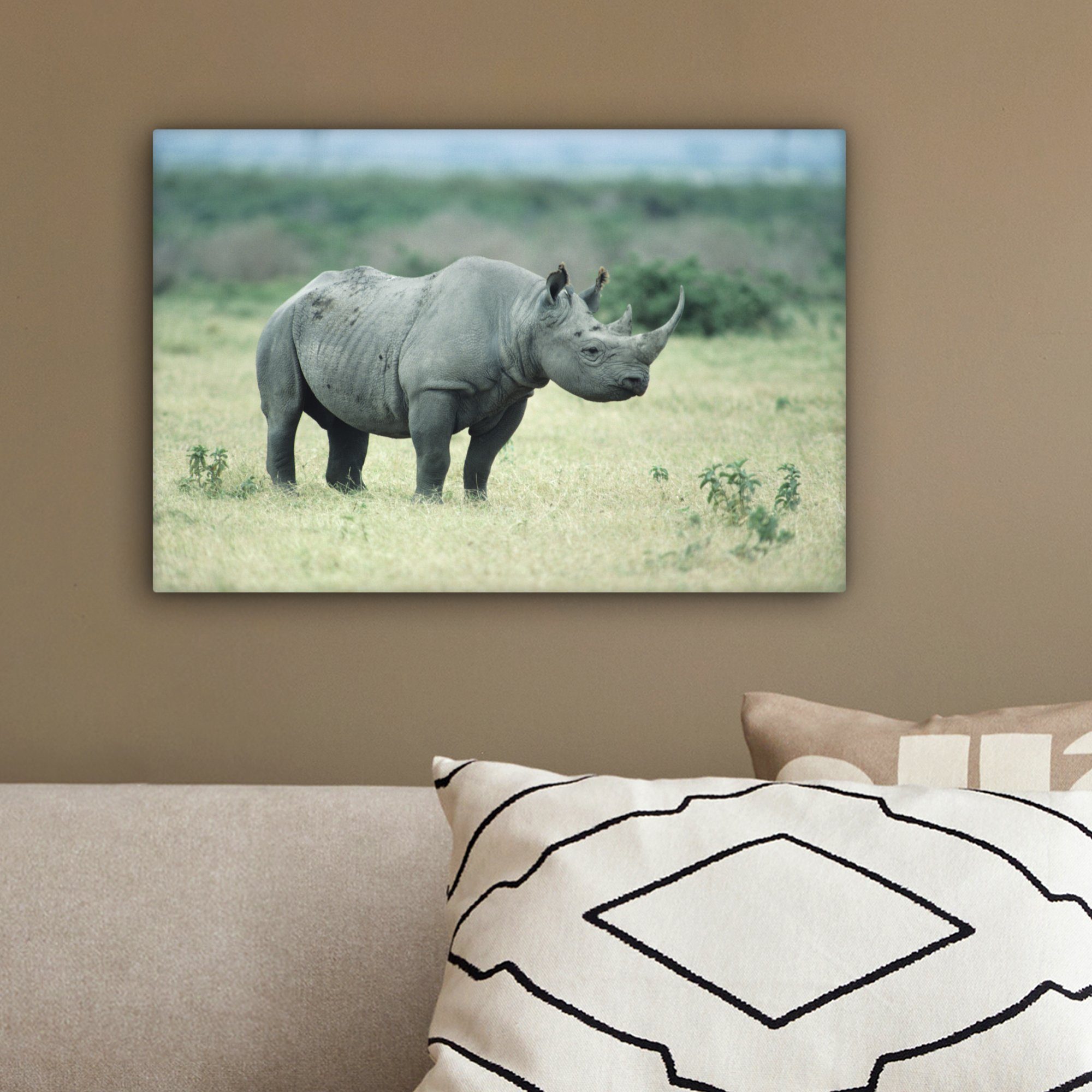 Leinwandbilder, - - Aufhängefertig, Afrika OneMillionCanvasses® cm St), Wanddeko, Wandbild Leinwandbild 30x20 (1 Feld, Nashörner