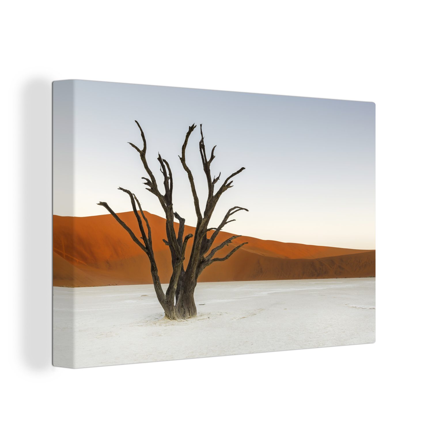 OneMillionCanvasses® Leinwandbild Kameldornbaum am Sossusvlei in Namibia, (1 St), Wandbild Leinwandbilder, Aufhängefertig, Wanddeko, 30x20 cm
