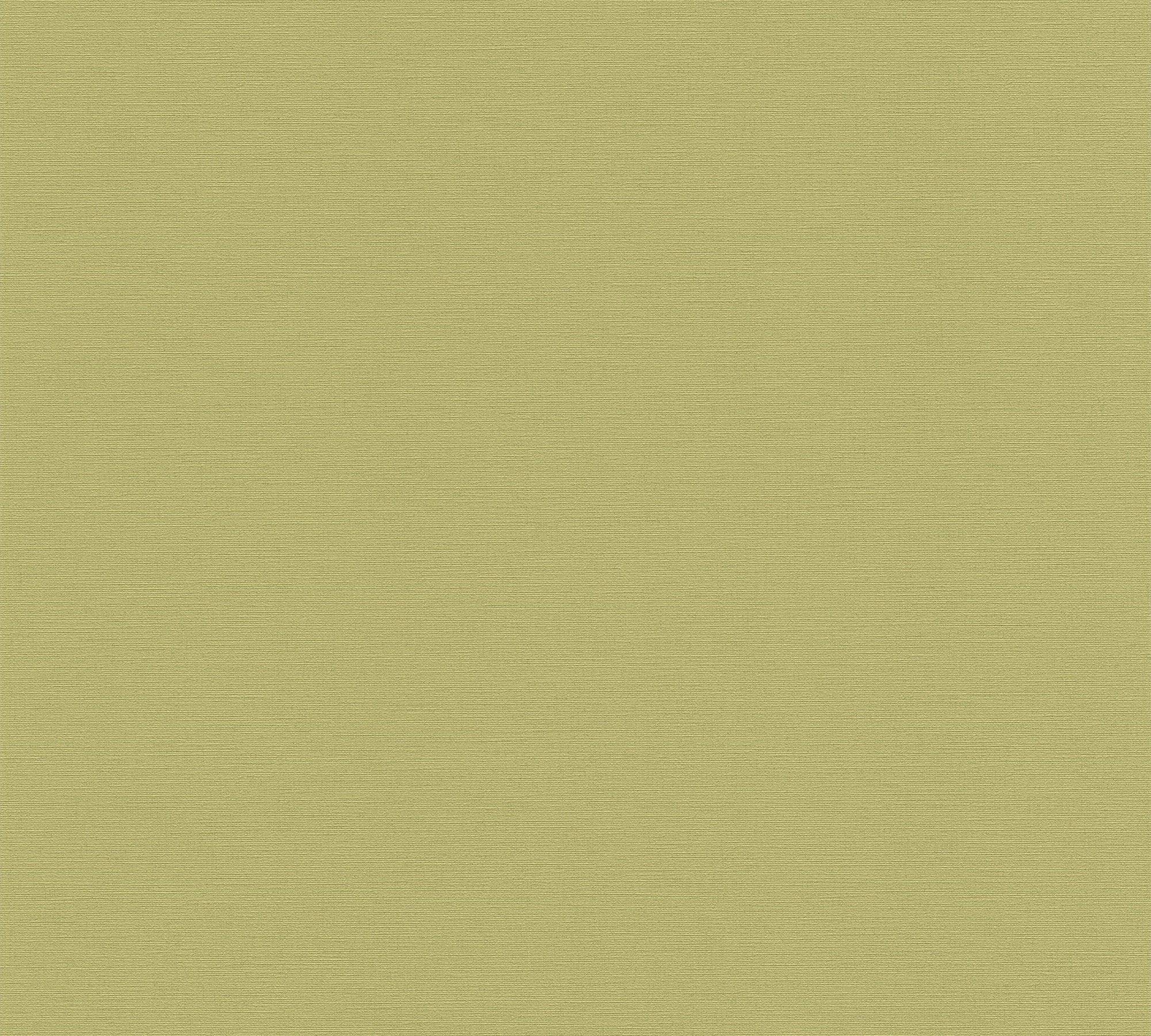 Unitapete (1 gelbgrün,grün Einfarbig, Antigua Tapete leicht strukturiert matt, A.S. geprägt, St), Création Vliestapete