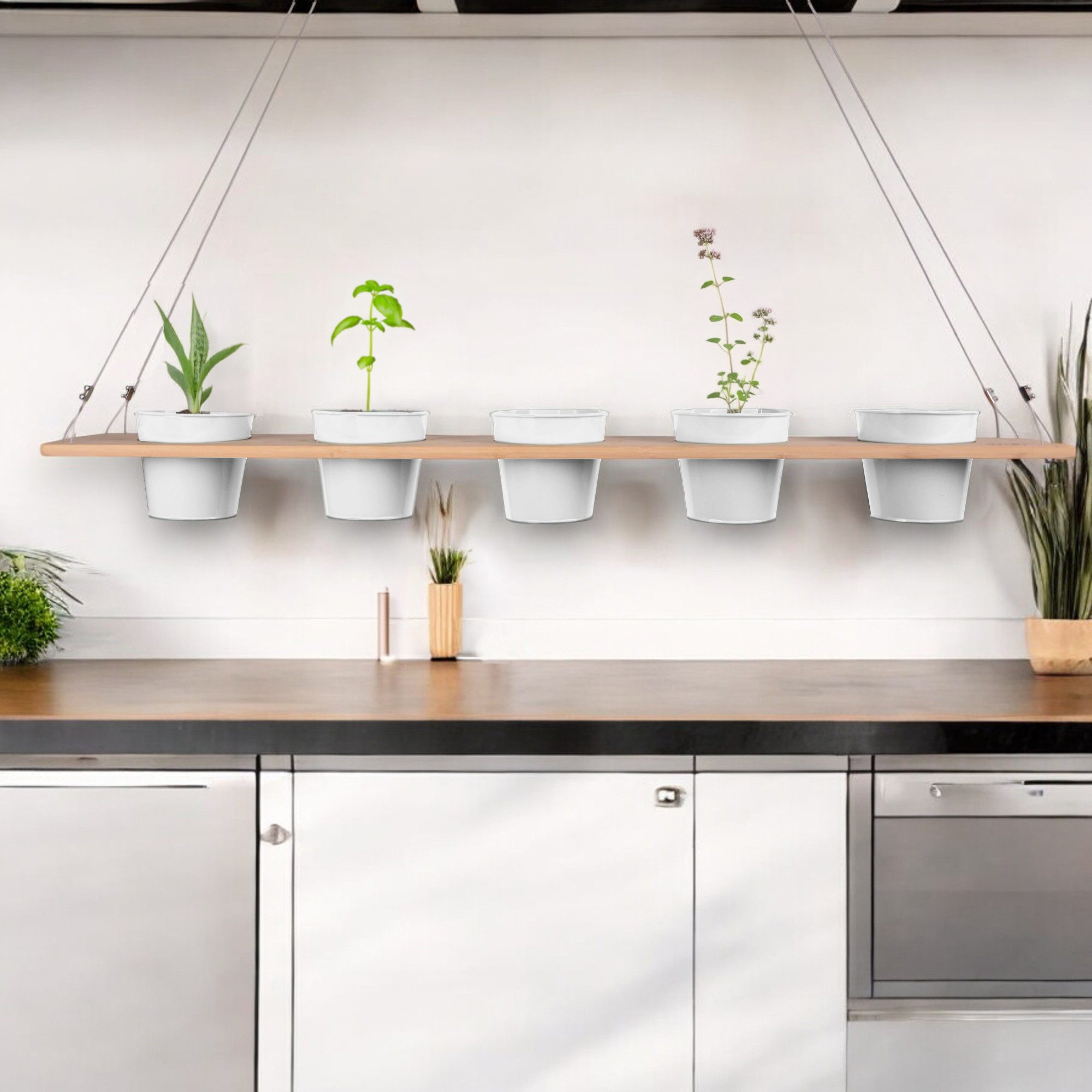 UNUS HOME Blumenkasten Kräuterbar, Pflanzenbar (natur), günstig online kaufen
