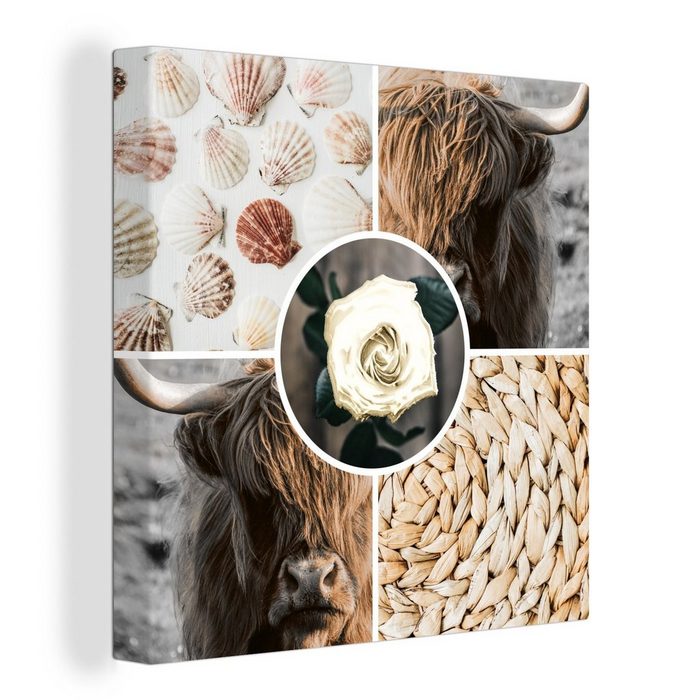 OneMillionCanvasses® Leinwandbild Schottischer Highlander - Collage - Muscheln - Rose (1 St) Leinwand Bilder für Wohnzimmer Schlafzimmer
