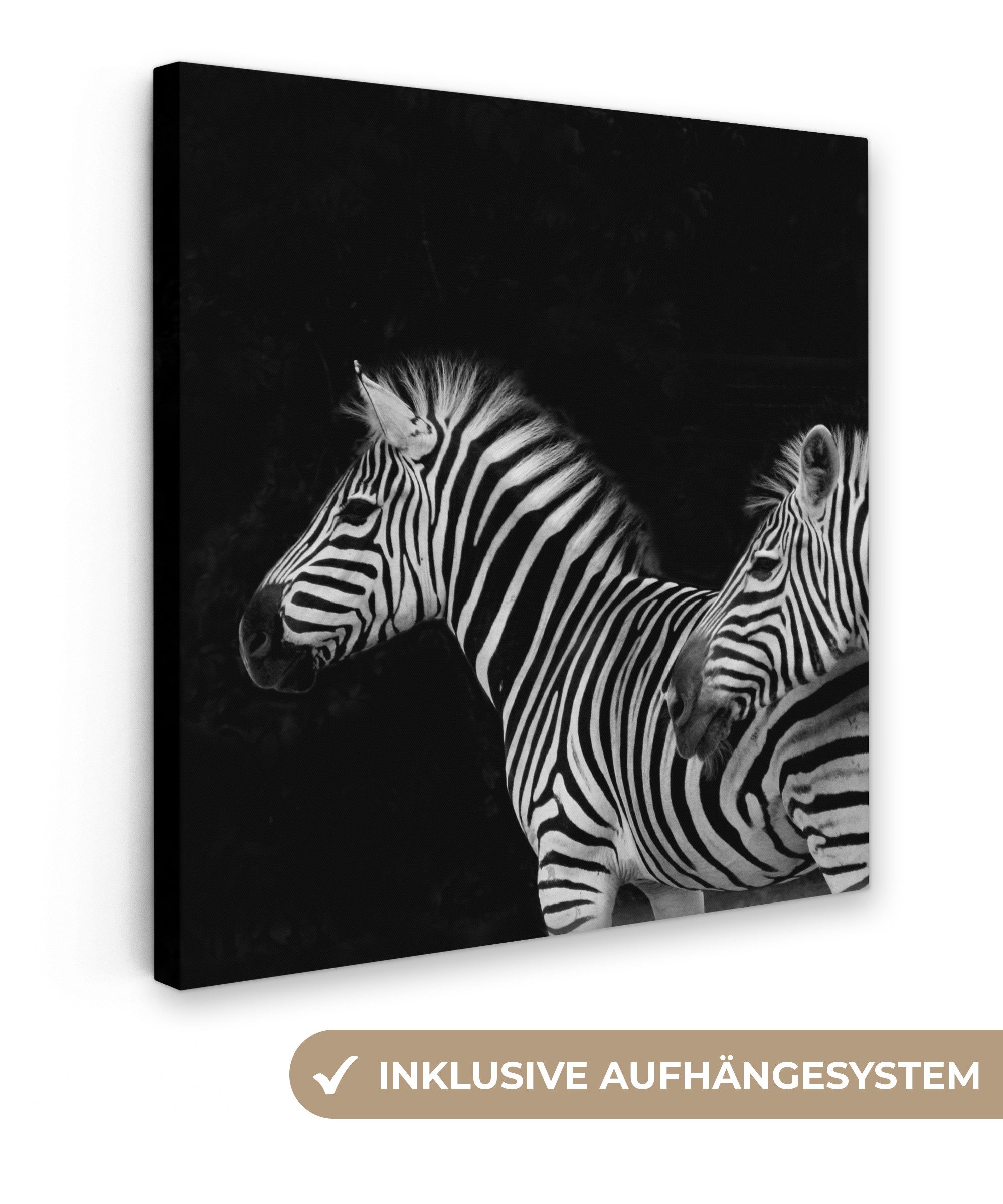 OneMillionCanvasses® Leinwandbild Zebra - Weiß - Tiere - Schwarz, Fotodruck (1 St), Wandbild, Deko Schlafzimmer Wohnzimmer Flur 20x20 cm