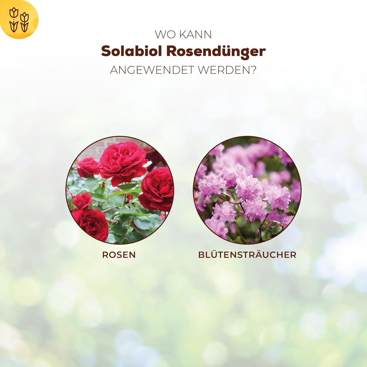 Solabiol Blumendünger Solabiol Rosendünger mit Wurzelstimulator 1,5 kg Packung