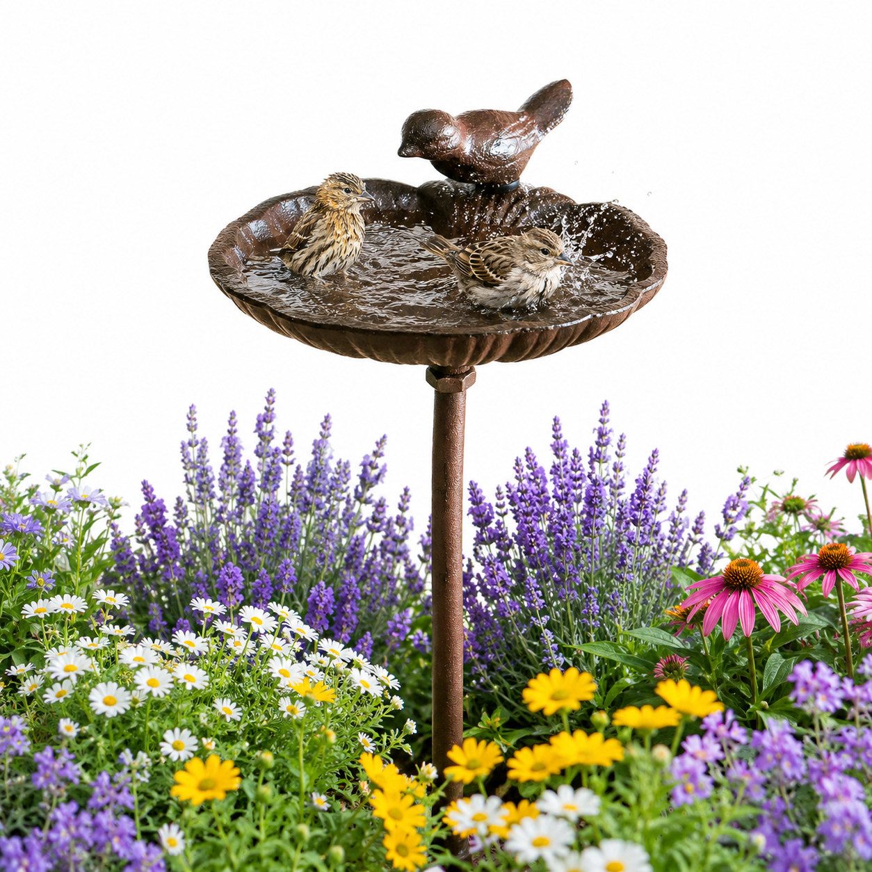 Topanbieter999 Vogeltränke