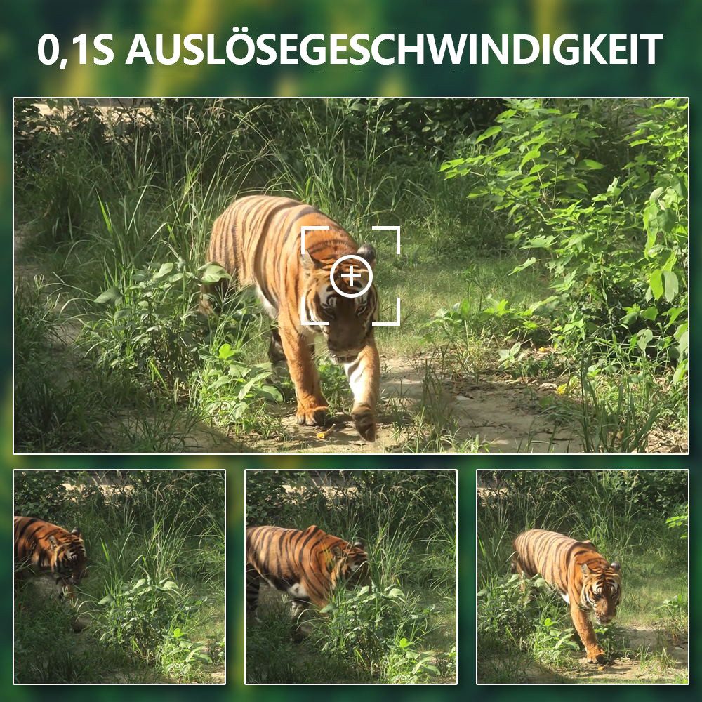 Tekoo Wildkamera 4K 60MP WiFi, App-Steuerung, IP66 wasserdicht, 0,2s Auslöser & 64GB SD (Außenbereich, Packung, Inklusive 64GB microSD-Karte, WiFi & App-Steuerung, Inklusive 64GB Speicherkarte, 0,2s Auslösezeit)