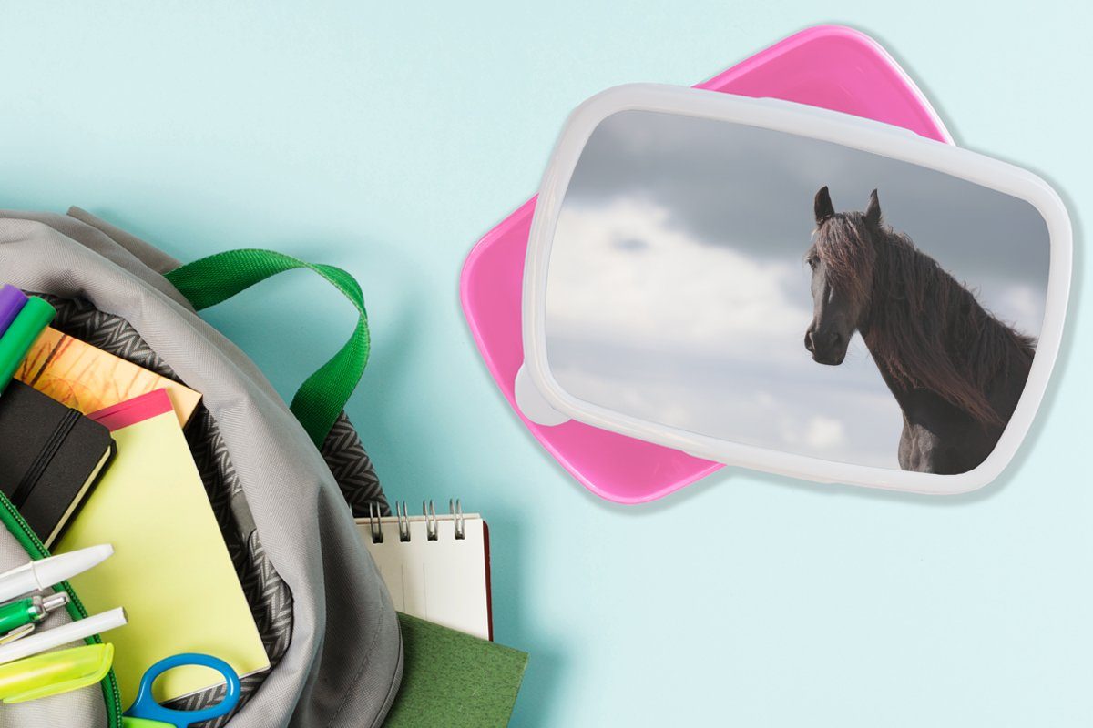 MuchoWow Lunchbox (2-tlg), - Snackbox, - Kunststoff Luft Porträt, Pferde Brotbox Kunststoff, Brotdose Kinder, Erwachsene, rosa Mädchen, für