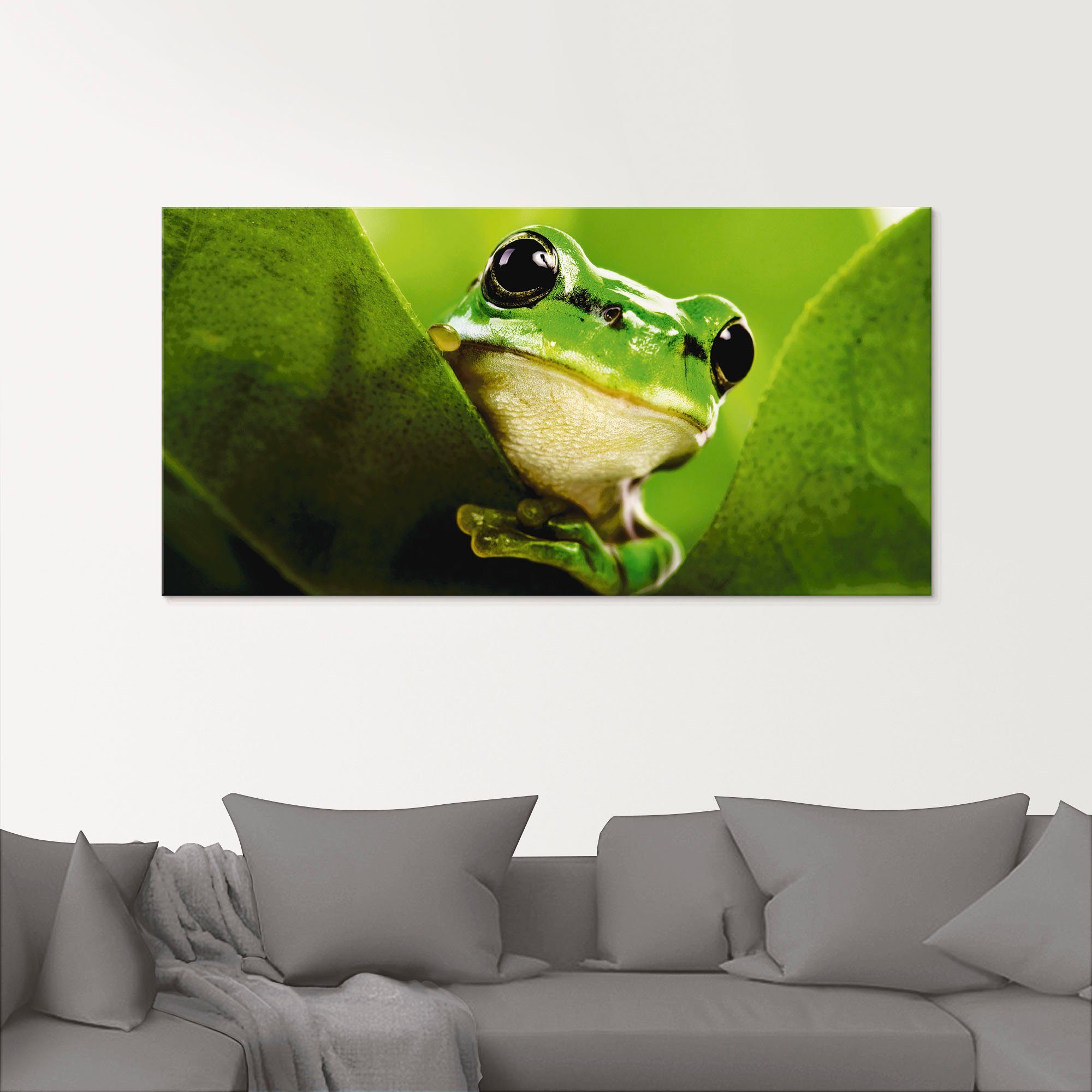 Artland Glasbild Ausspähender Frosch, verschiedenen Wassertiere in (1 St), Größen