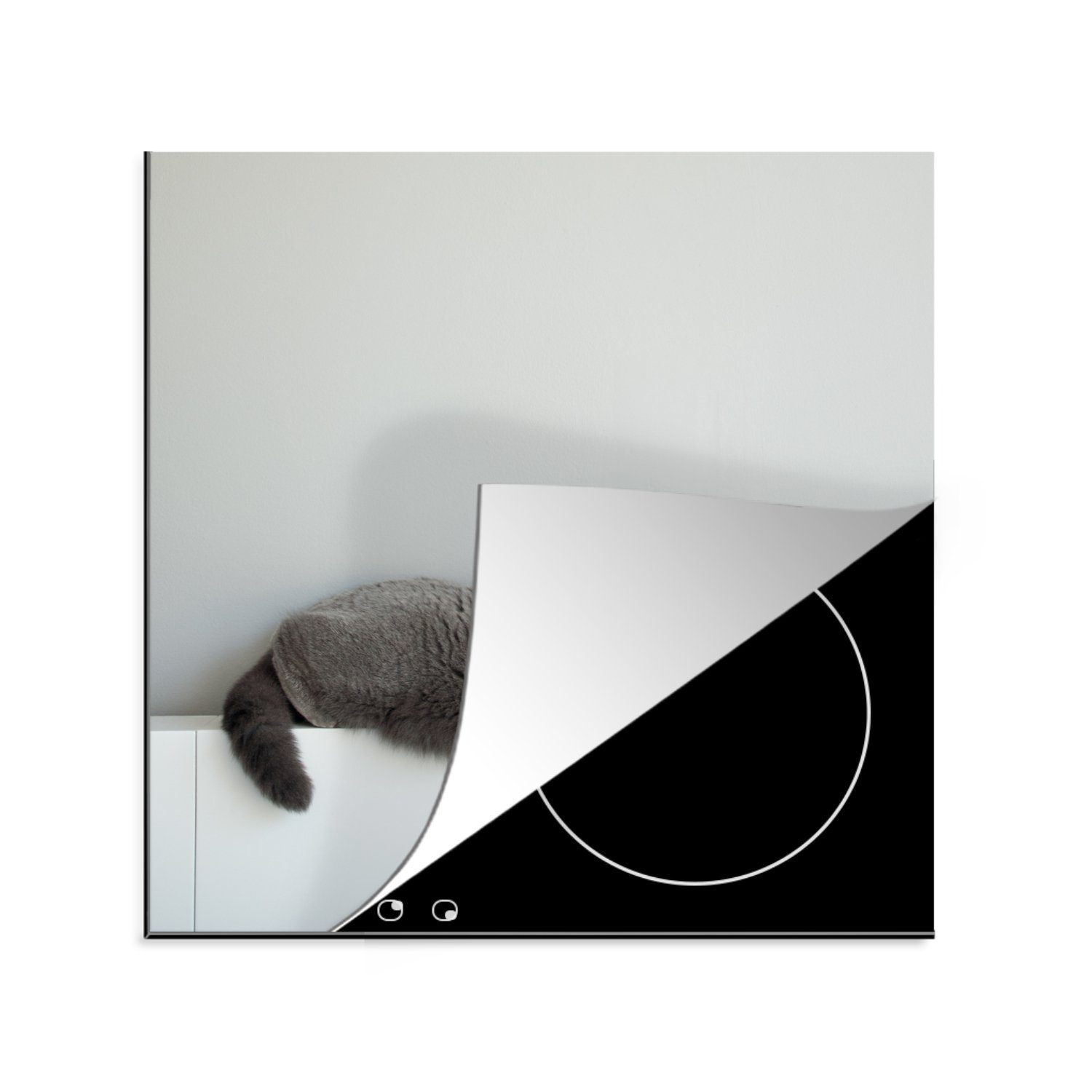 MuchoWow Herdblende-/Abdeckplatte Katze - Britisch Kurzhaar cm, küche - Mädchen - Kinder - - Arbeitsplatte Kinder, Vinyl, - für Ceranfeldabdeckung, Jungen 78x78 tlg), Grau (1