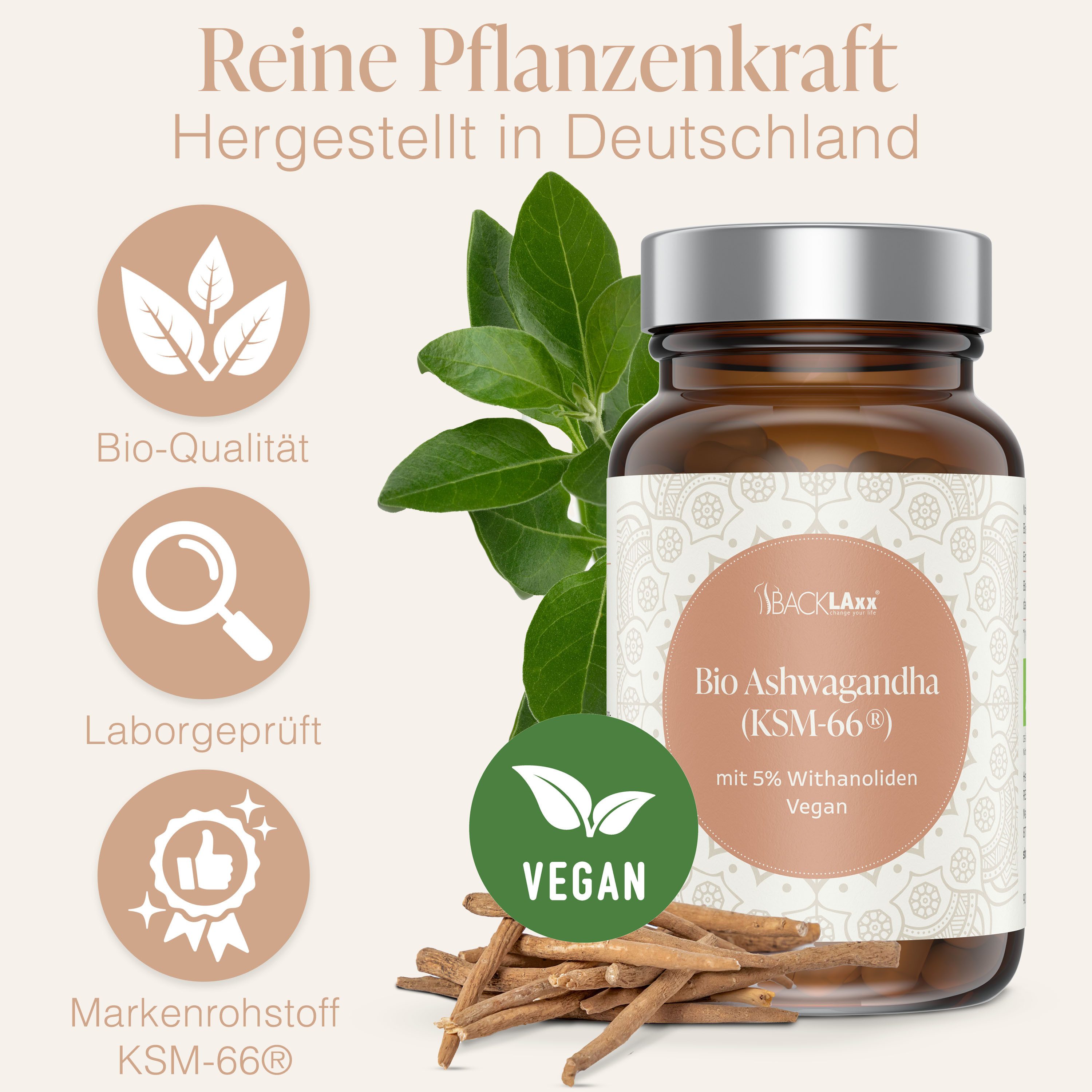 BACKLAxx® Bio Ashwagandha KSM-66®, 500mg – 90 vegane Kapseln Kapseln, 1 er 54 g, Vegan, ohne Zusatzstoffe, ohne Farbstoffe, ohne Konservierungsstoffe