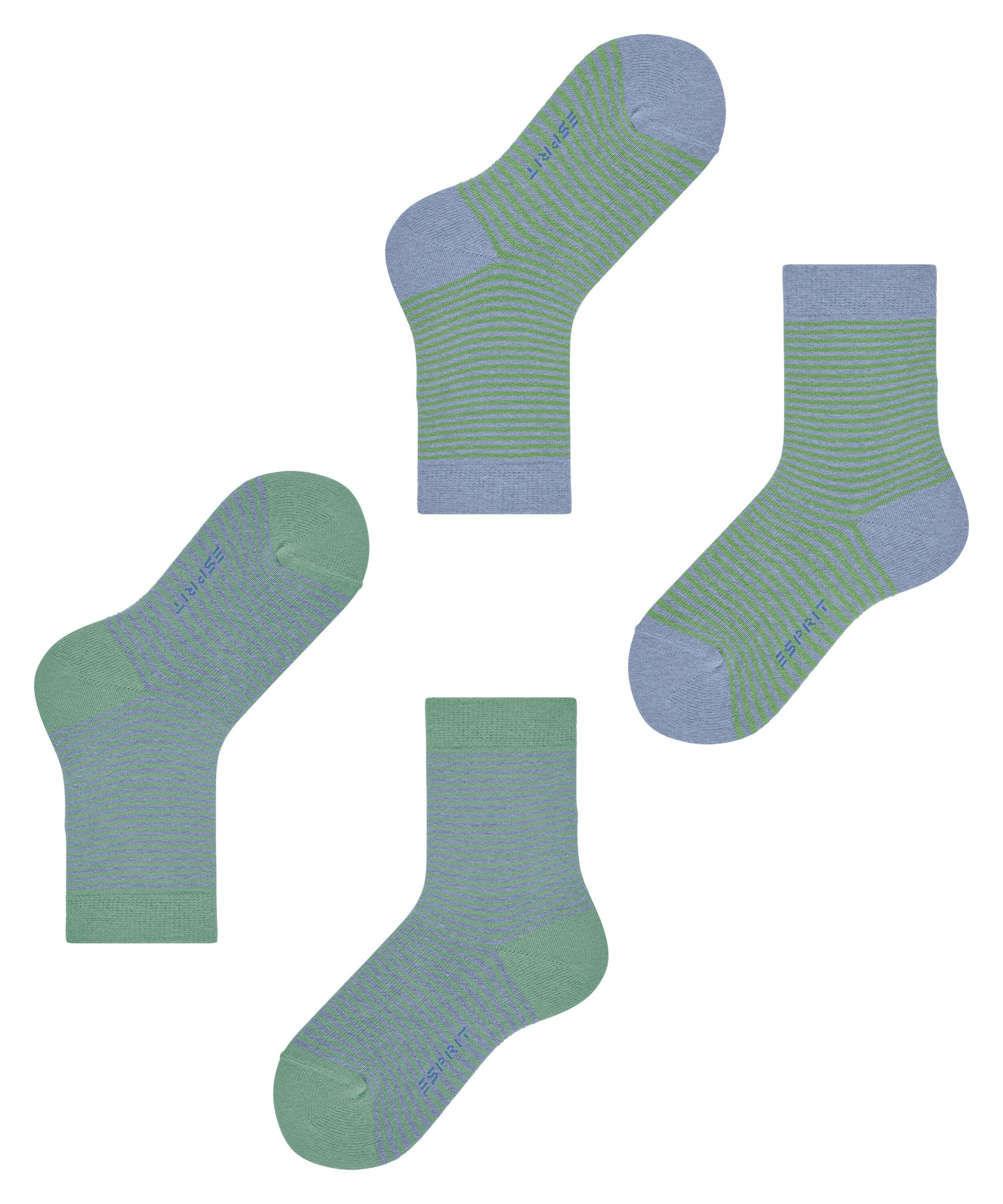 2-Pack (2-Paar) Stripe sortiment Esprit Socken (0080) Fine