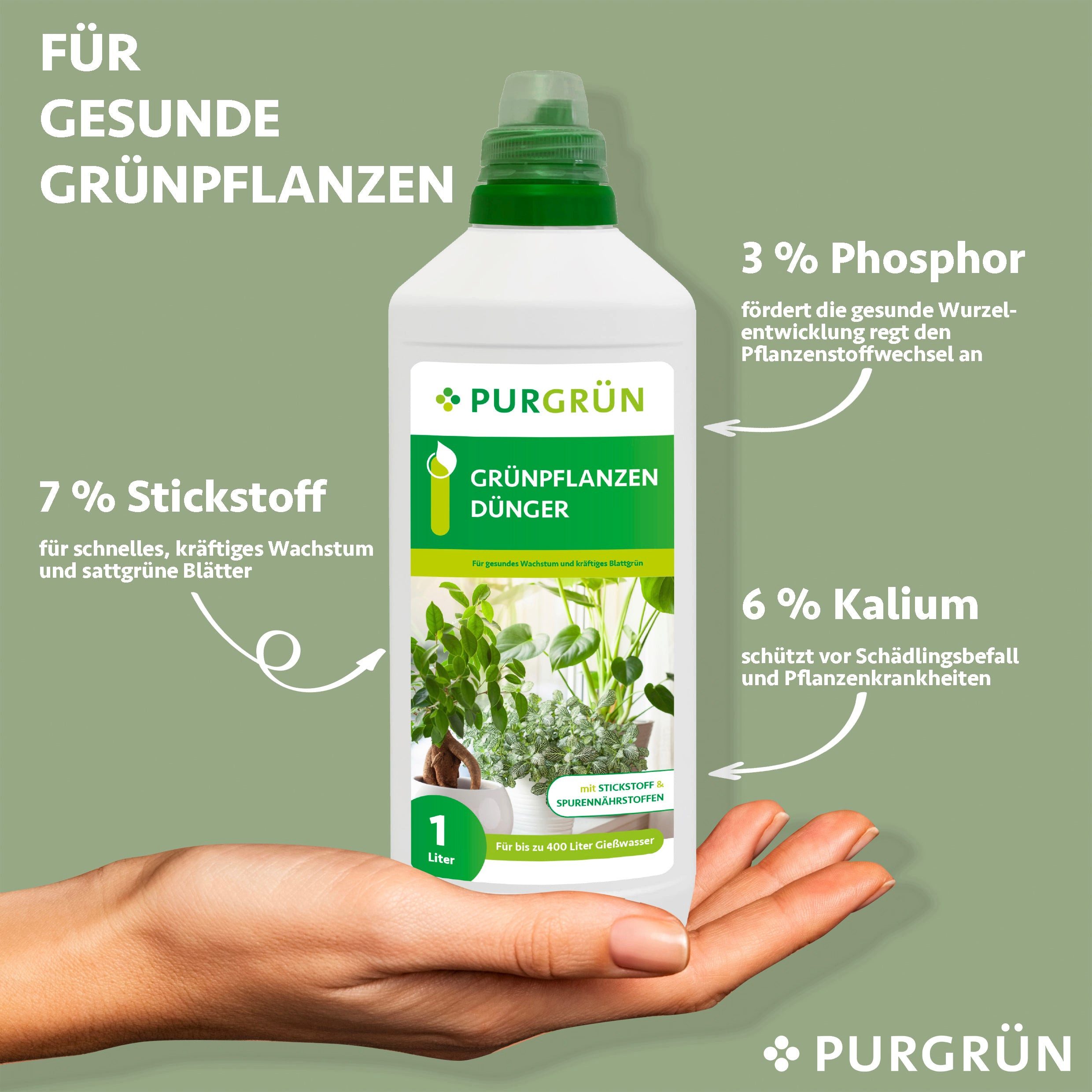 Purgrün Universaldünger Purgrün Grünpflanzendünger, NPK 7+3+6, günstig online kaufen