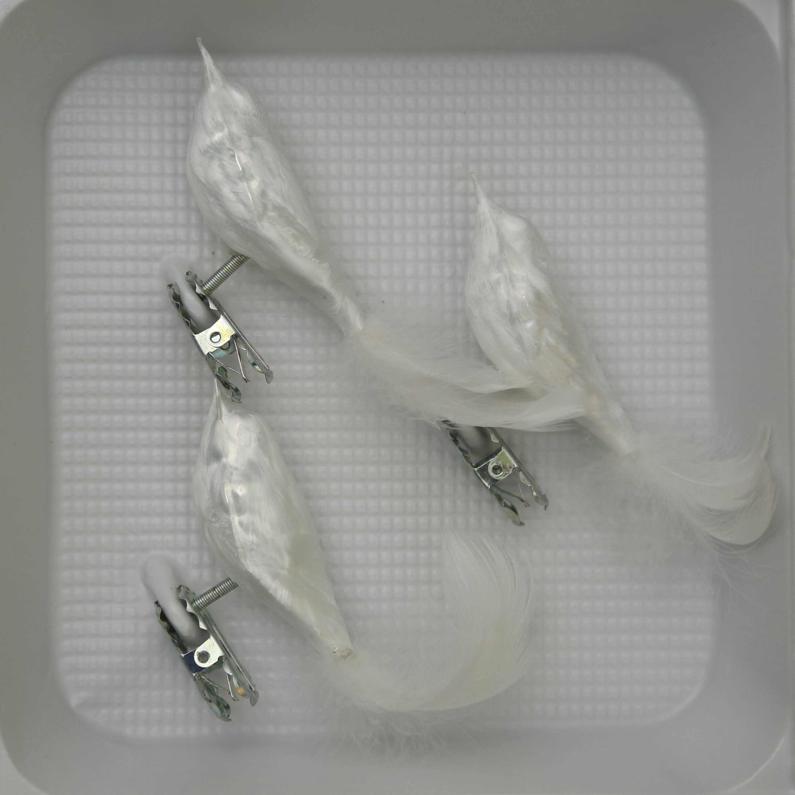 Christbaumschmuckvögel Lauschaer Farben verschiedenen Glas Christbaumschmuck Eislack in weiß