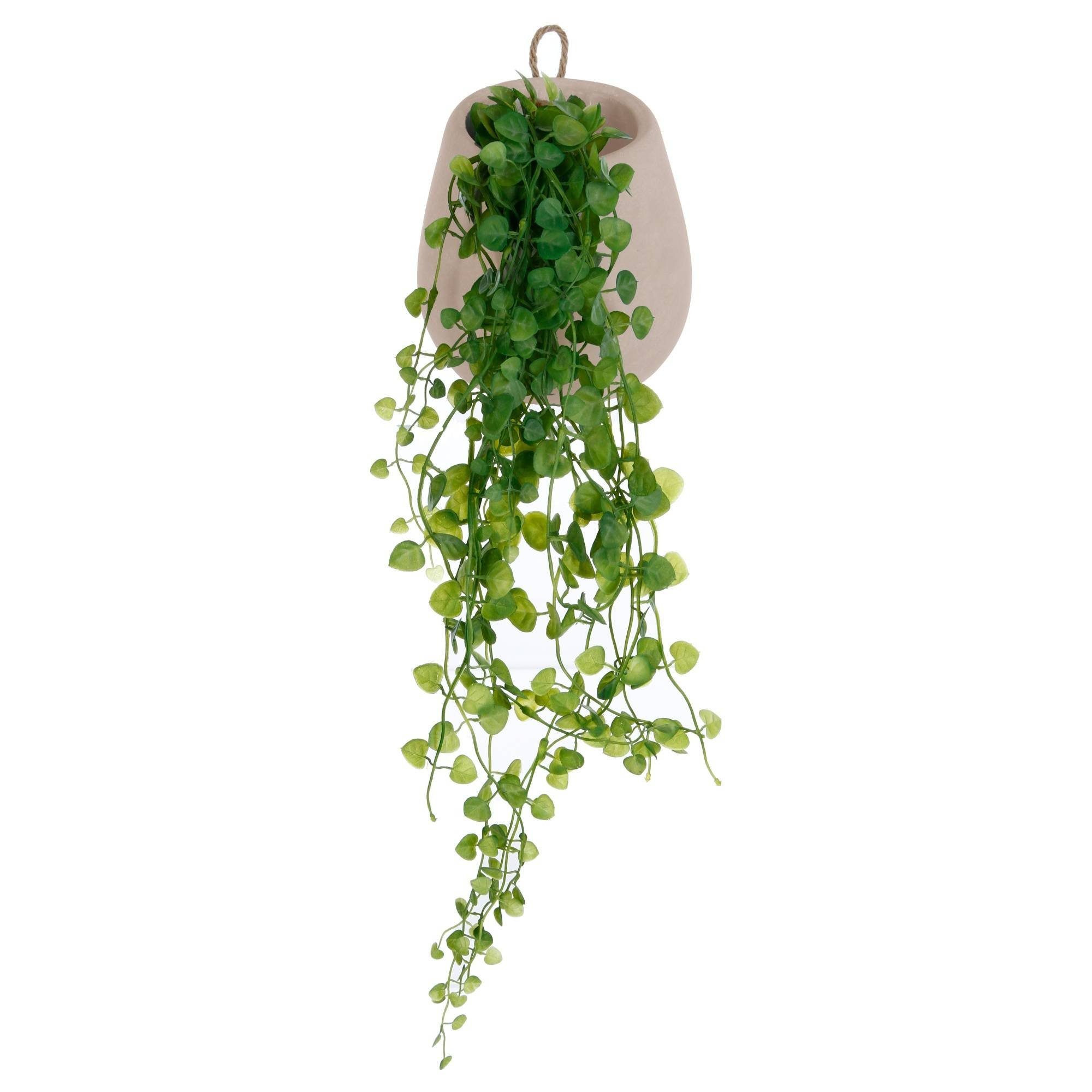 Kunstpflanze Zimmerpflanze, Atmosphera Créateur d'intérieur, Höhe 16.5 cm