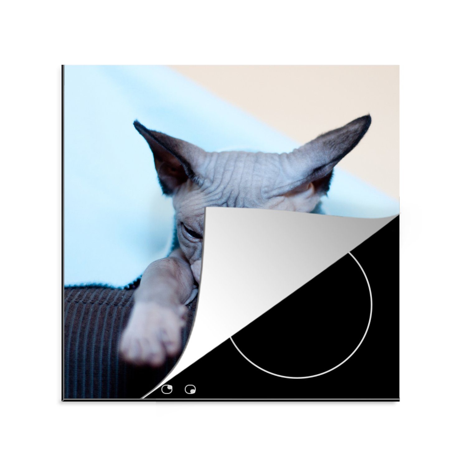 MuchoWow Herdblende-/Abdeckplatte Eine schläfrige Sphynx-Katze auf dem Sofa, Vinyl, (1 tlg), 78x78 cm, Ceranfeldabdeckung, Arbeitsplatte für küche