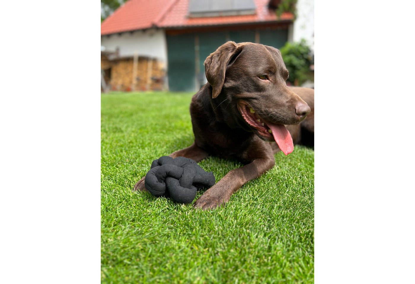 Thumbnail - Aumüller Tiertau Hundespielzeug Knotenball Canvas, Schwarz