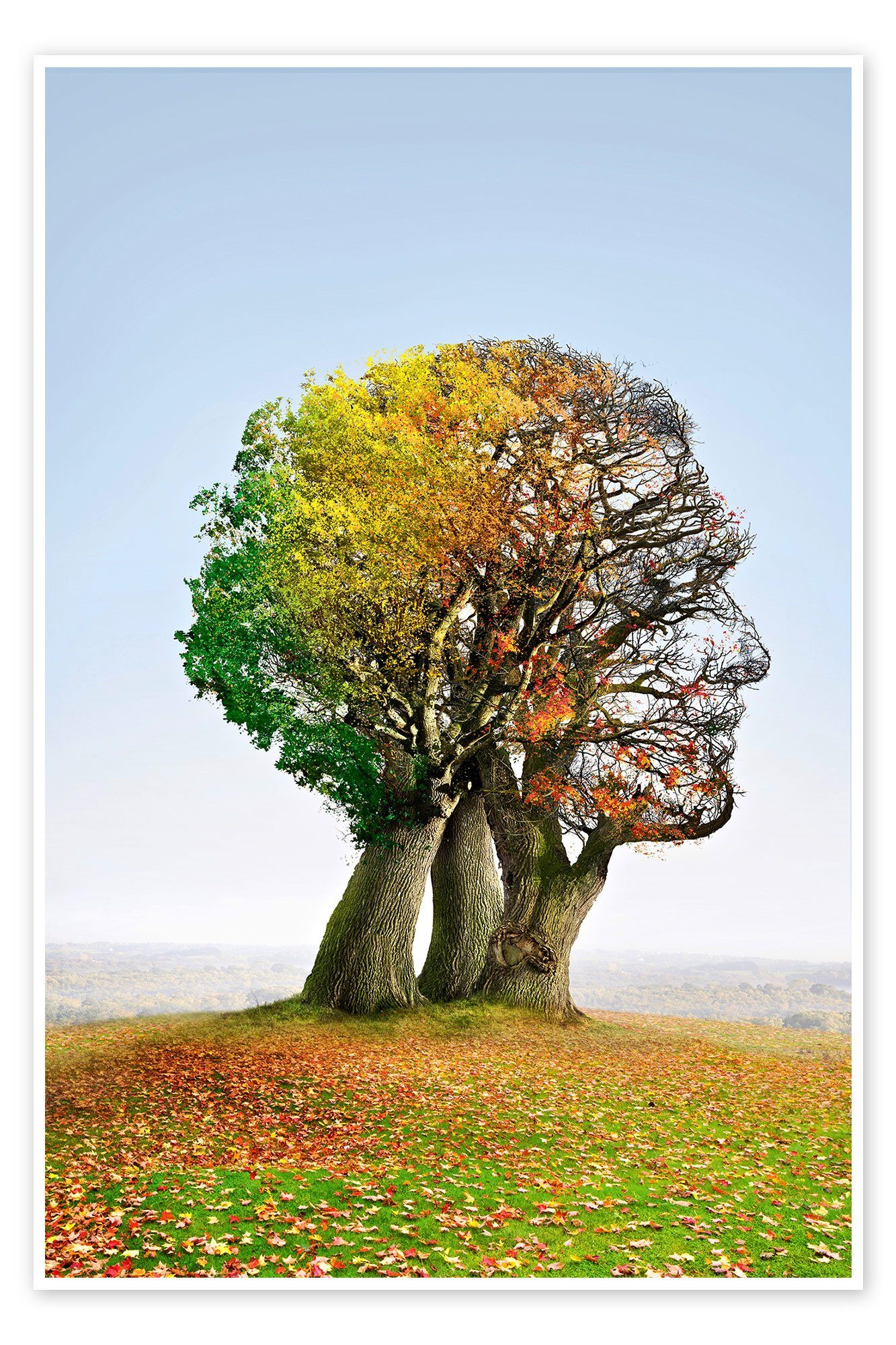 Posterlounge Poster Smetek, Der Lebensbaum, Arztpraxis Natürlichkeit Fotografie
