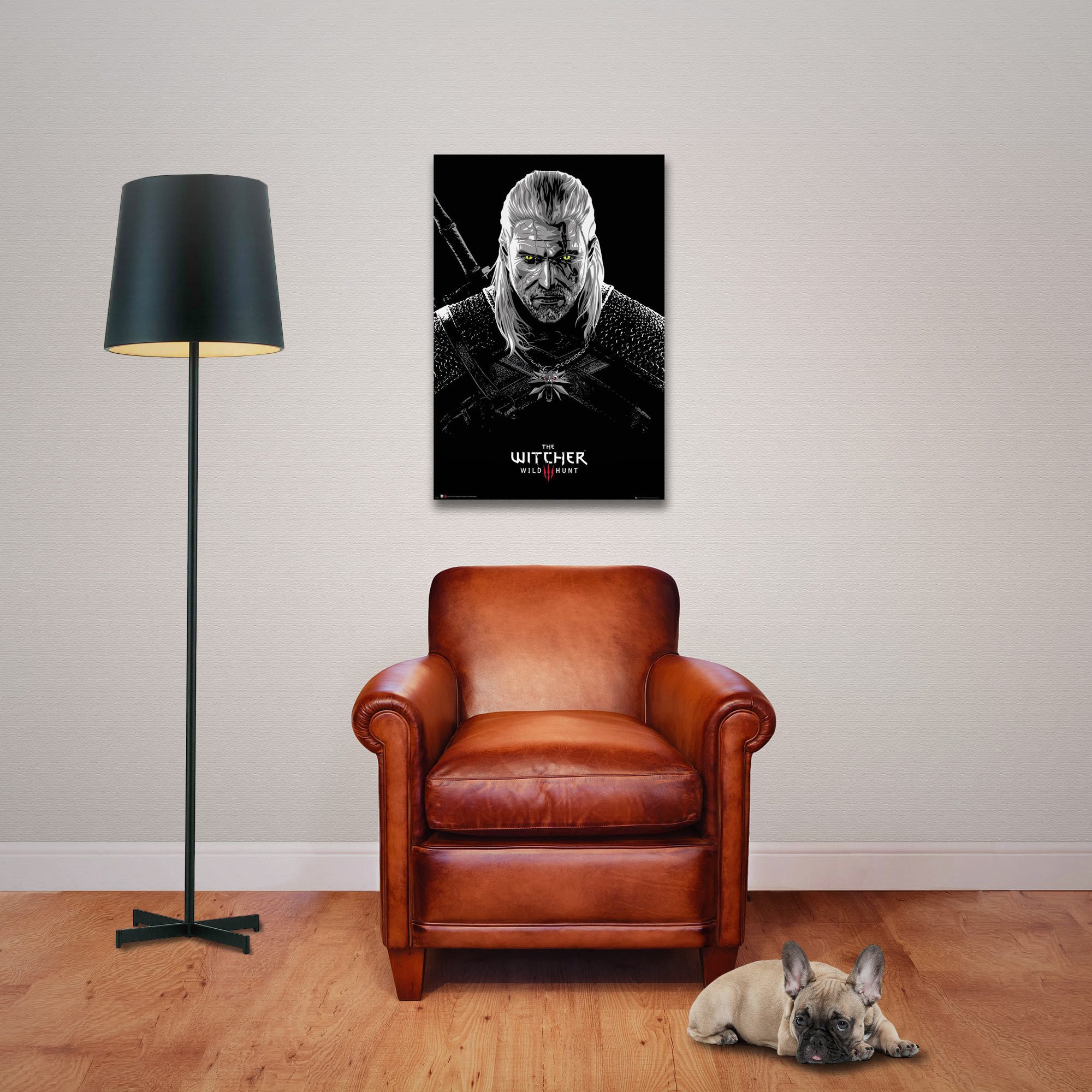 Poster Witcher, The - Poster - Toxicity Poisoning