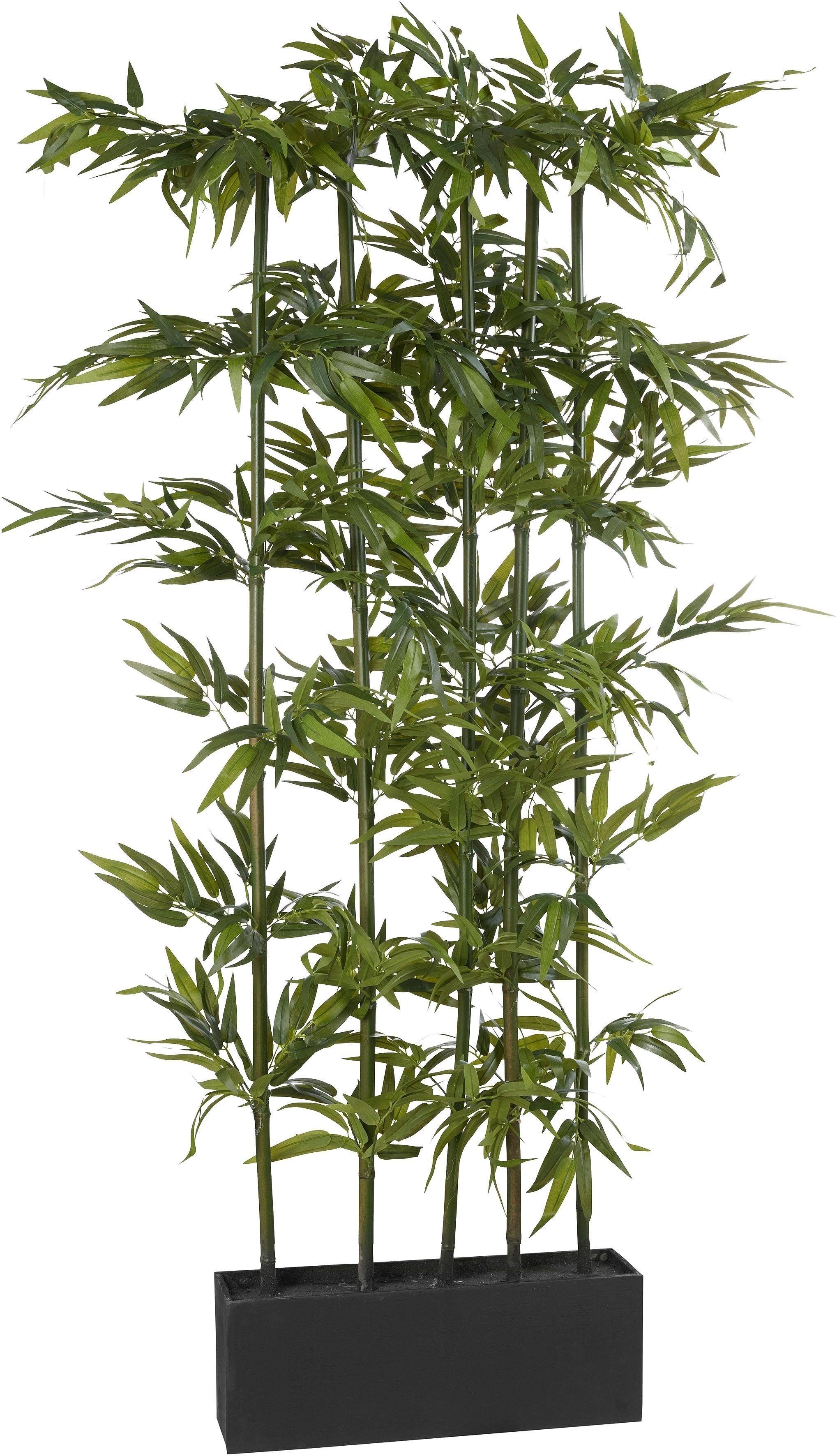 Kunstpflanze Bambus, Creativ green, Höhe 165 cm