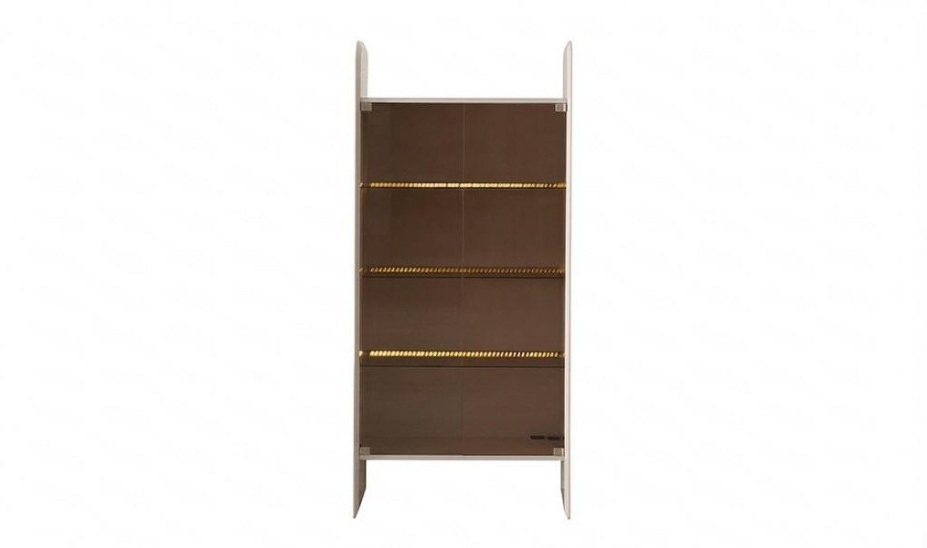 Xlmoebel Bücherwand Moderner Schaukasten in Braun mit 3 Fächern und elegantem Design, Made in Europa