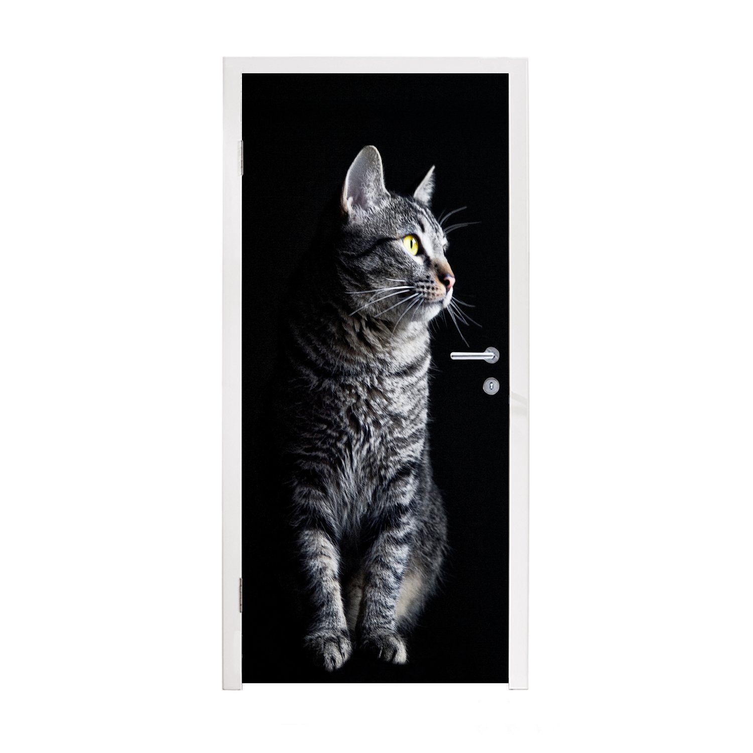 MuchoWow Türtapete Katze schaut weg, Matt, bedruckt, (1 St), Fototapete für Tür, Türaufkleber, 75x205 cm