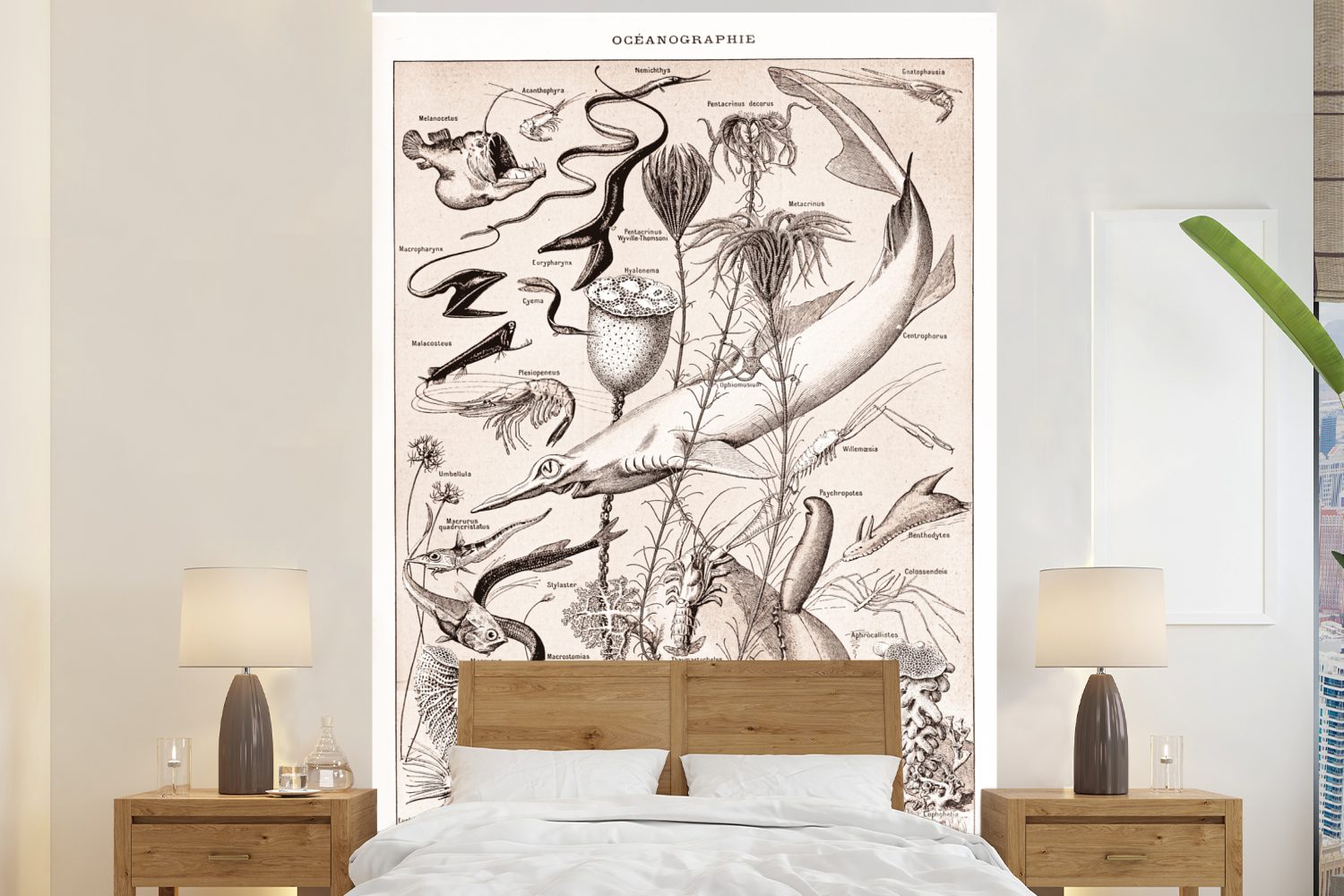 MuchoWow Fototapete Tiere - Meerestiere - Schwarz - Weiß, Matt, bedruckt, (3 St), Montagefertig Vinyl Tapete für Wohnzimmer, Wandtapete