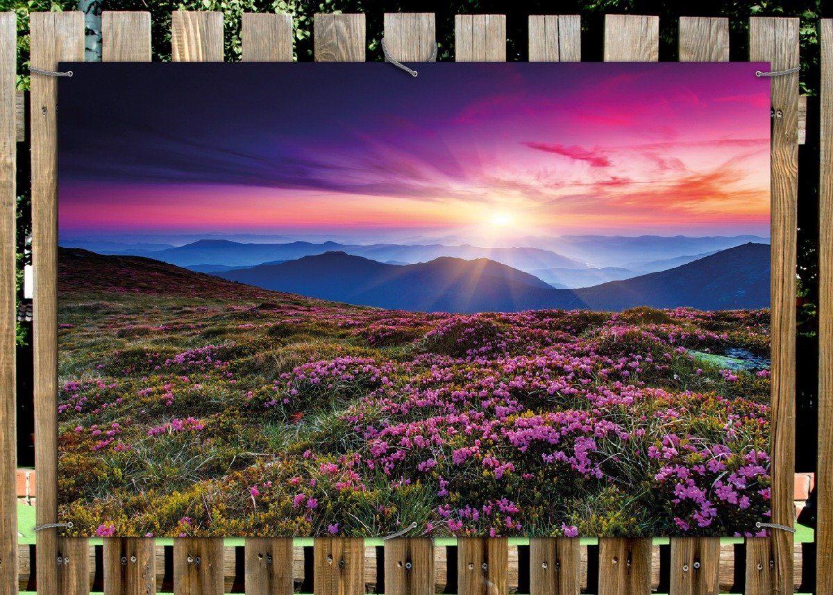 Thumbnail - Wallario Sichtschutzzaunmatten Blumenbedeckte Wiese bei Sonnenuntergang