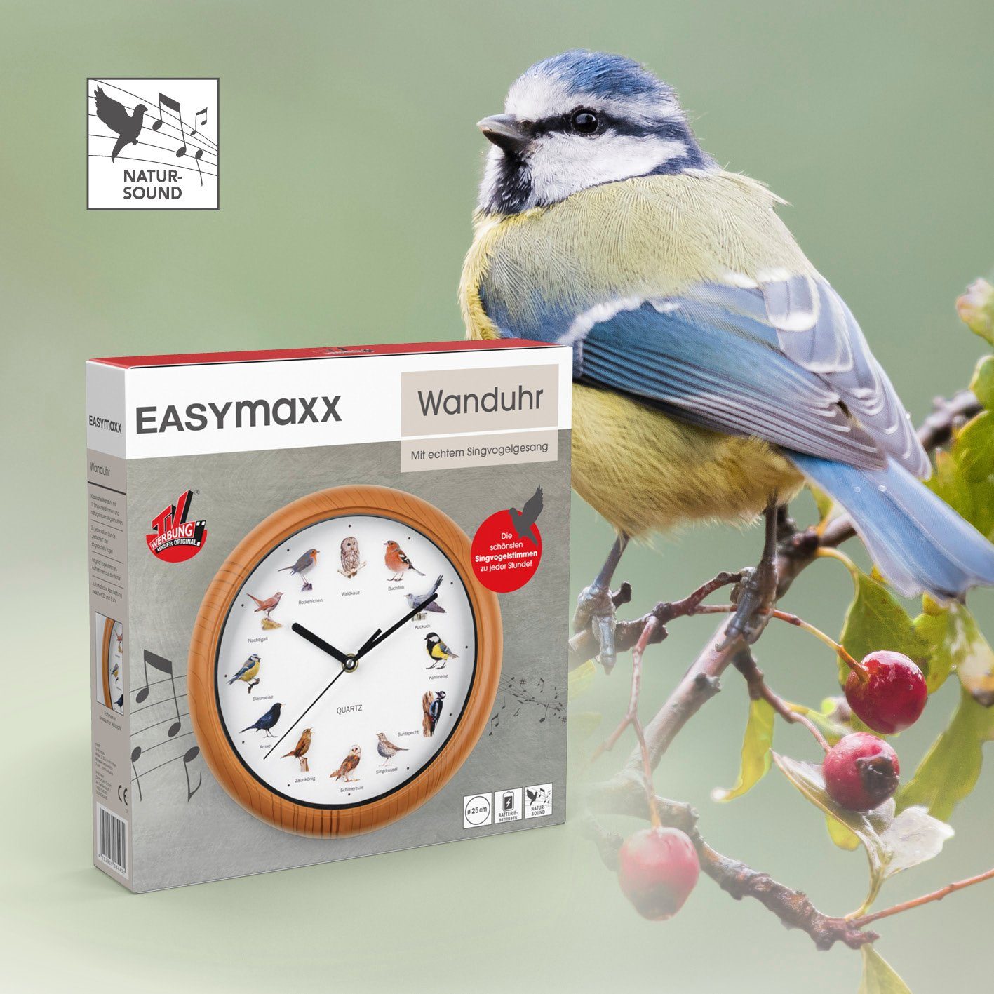 EASYmaxx Wanduhr mit 12 Singvogelgesang mit naturgetreuen Vogelmotiven (Automatische Abschaltung zwischen 21 und 5 Uhr, Rahmen Holzoptik)