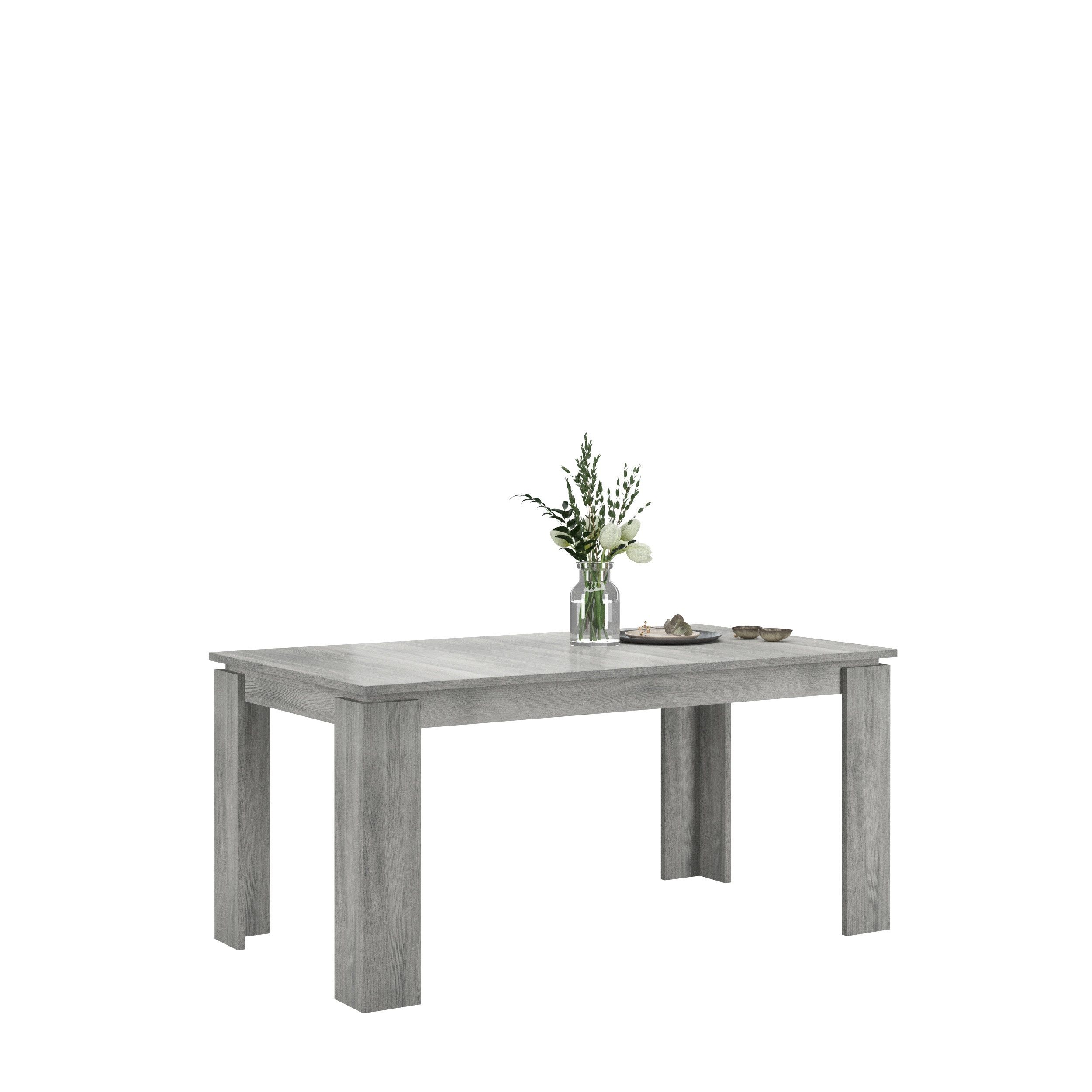 xonox.home Esstisch Titan, Rauchsilber Modern 160x76x90 günstig online kaufen