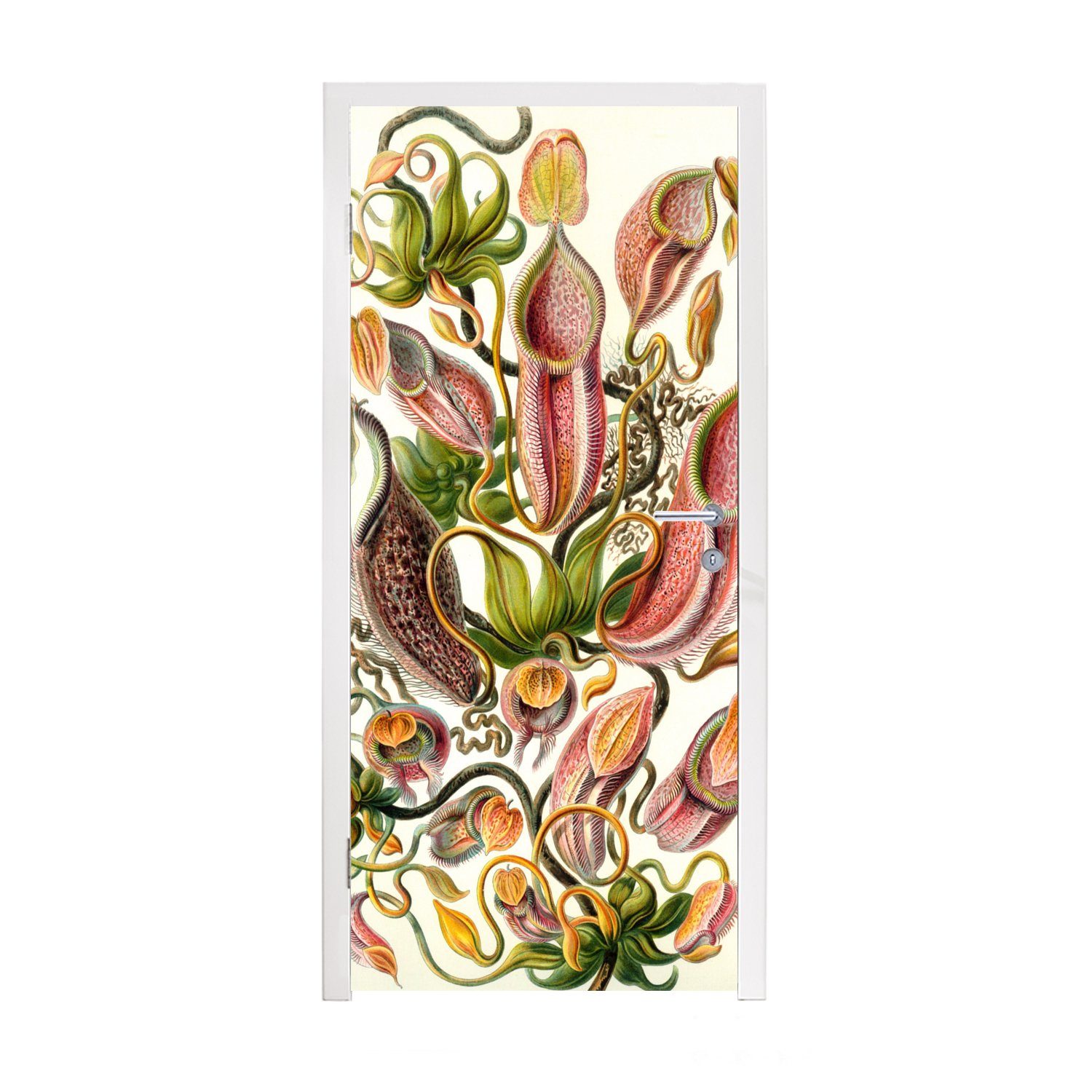 MuchoWow Türtapete Design - Fleischfressende Pflanze - Botanisch - Ernst Haeckel, Matt, bedruckt, (1 St), Fototapete für Tür, Türaufkleber, 75x205 cm